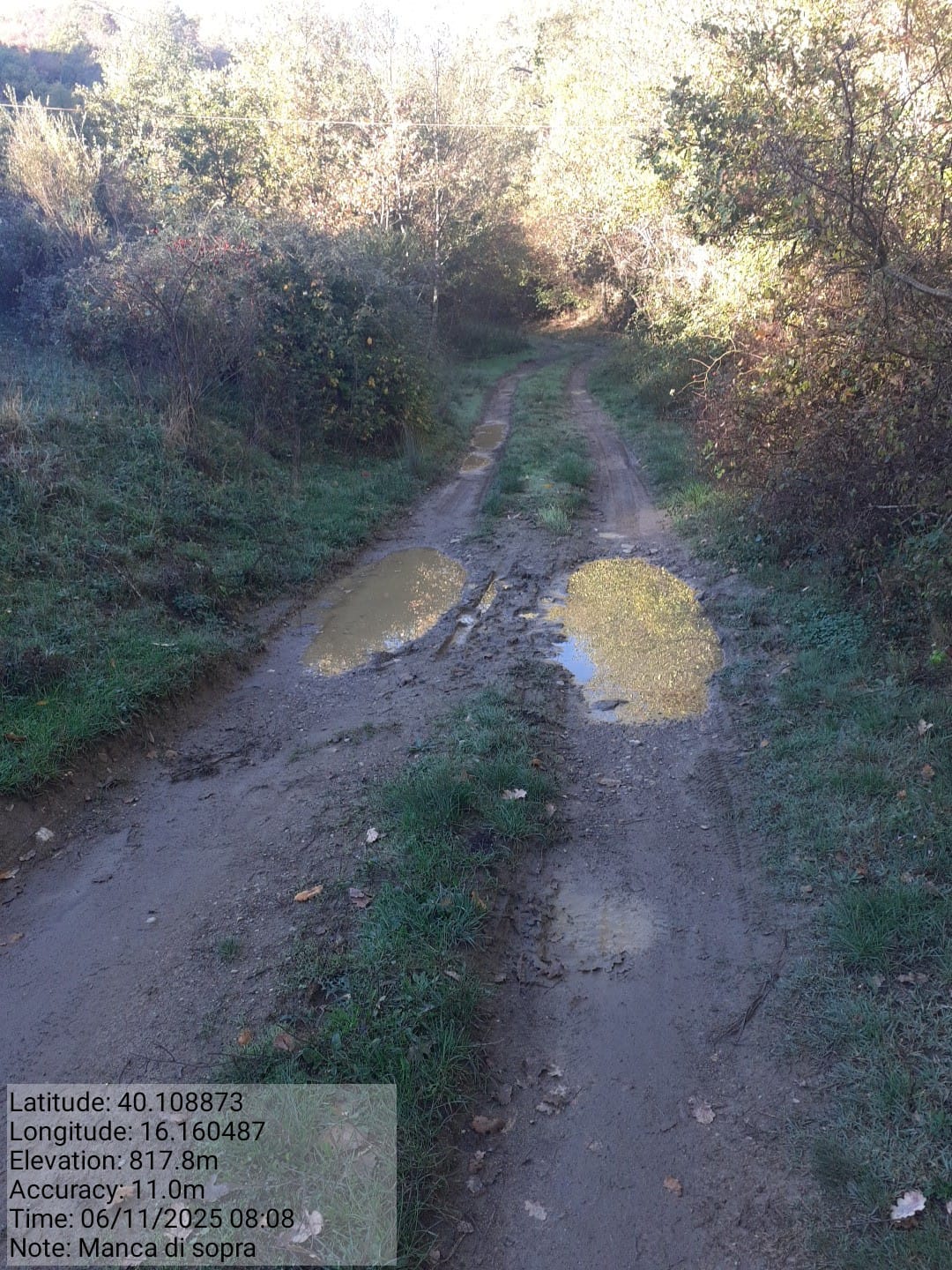 Galleria Fotografica Immagine