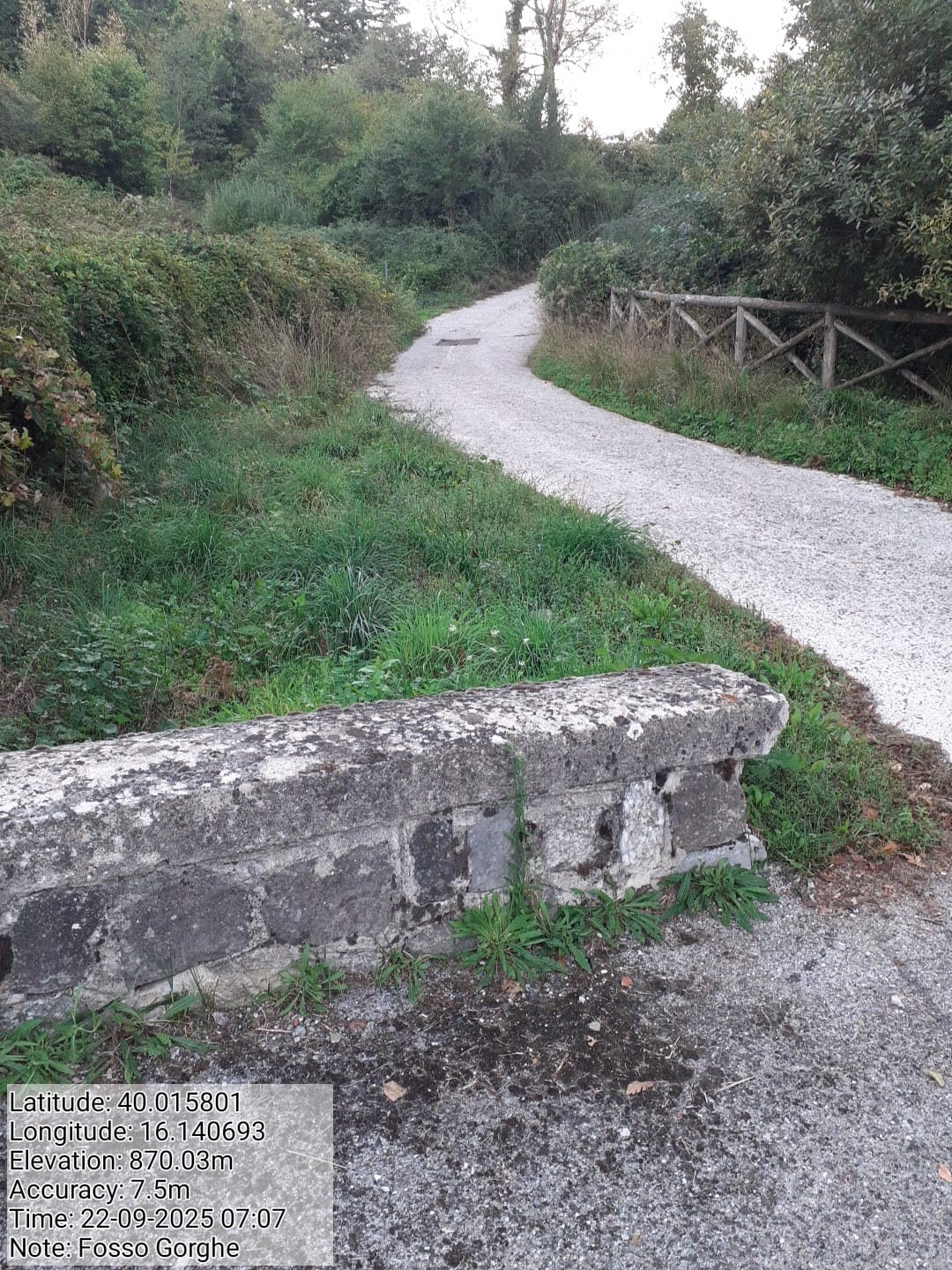 Galleria Fotografica Immagine