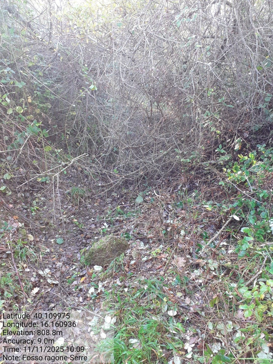 Galleria Fotografica Immagine