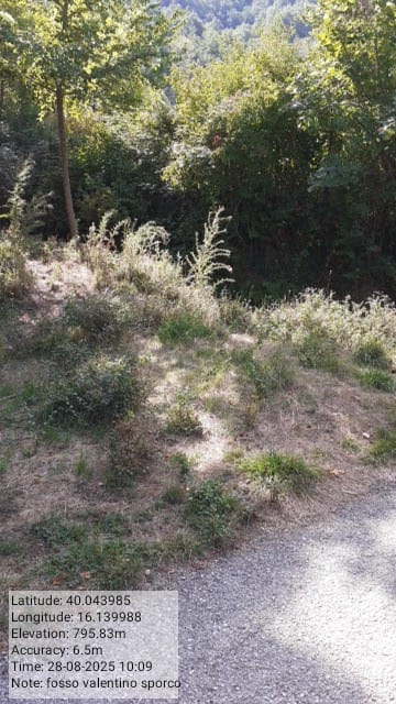 Galleria Fotografica Immagine