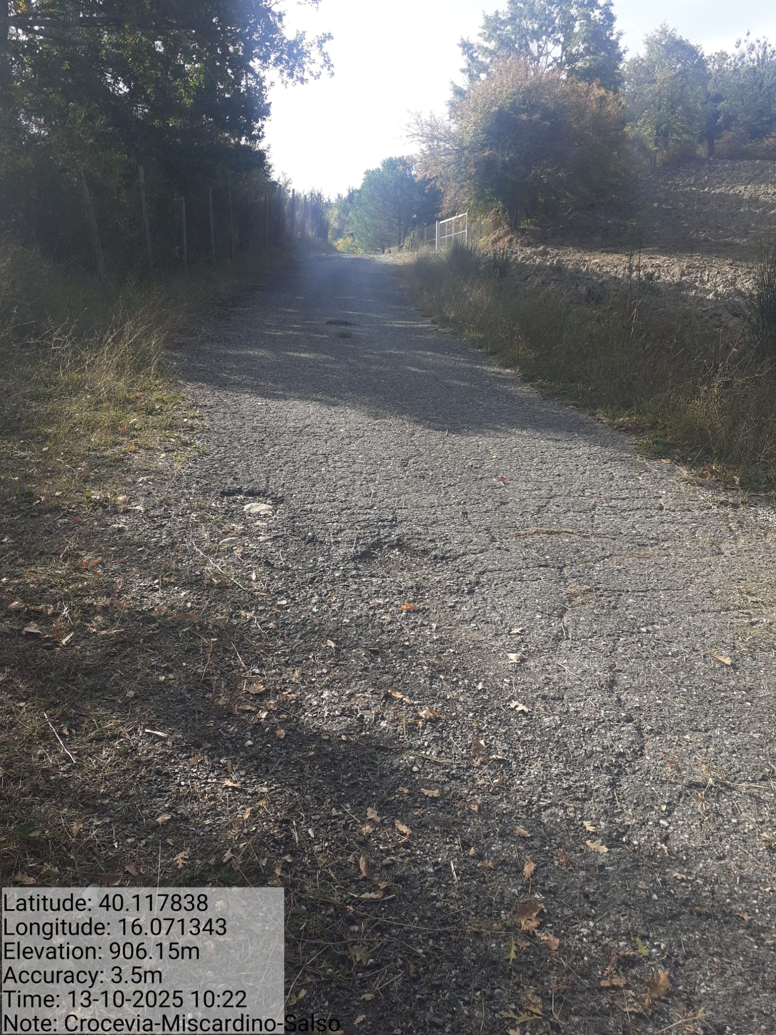 Galleria Fotografica Immagine