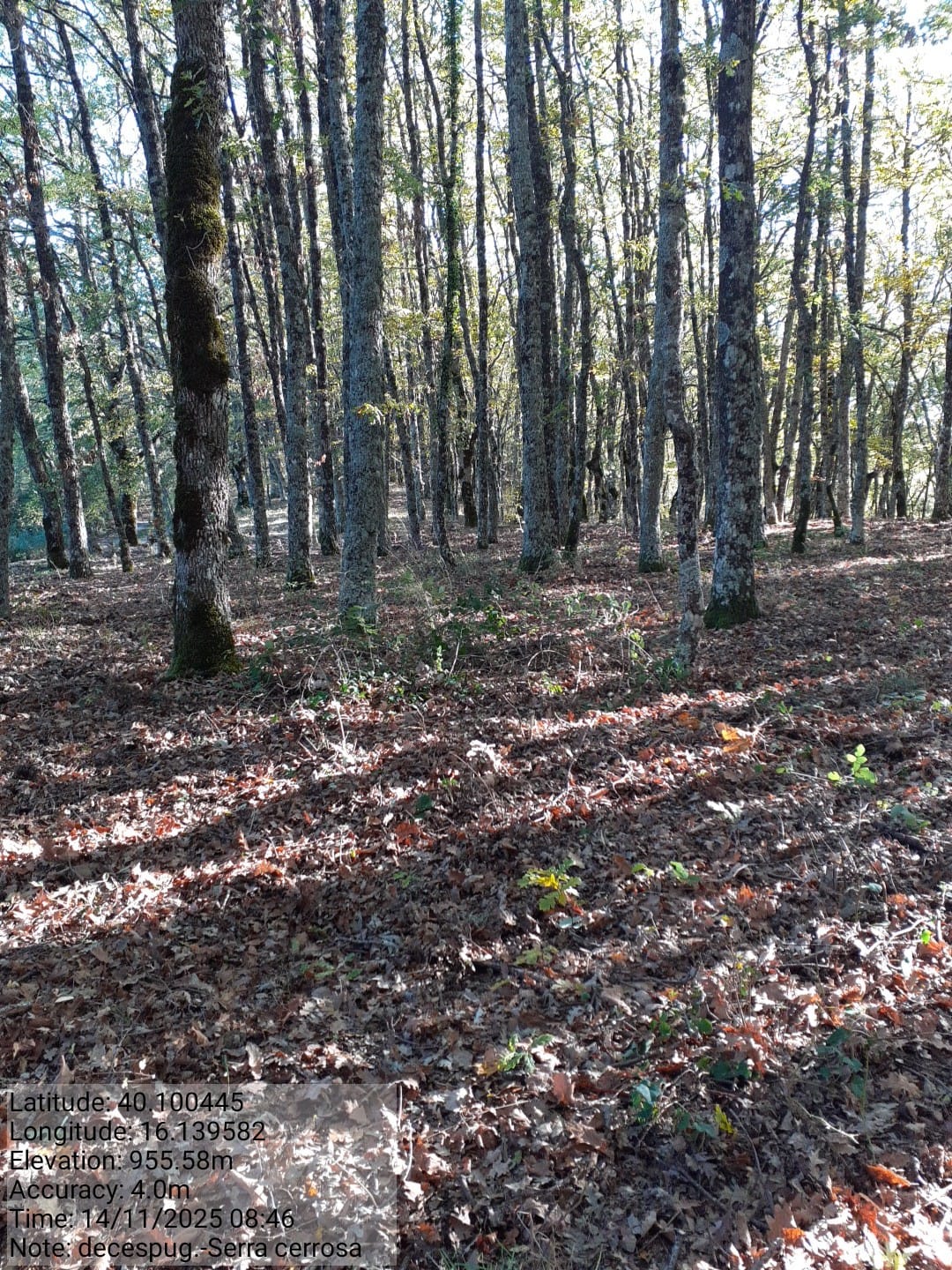 Galleria Fotografica Immagine