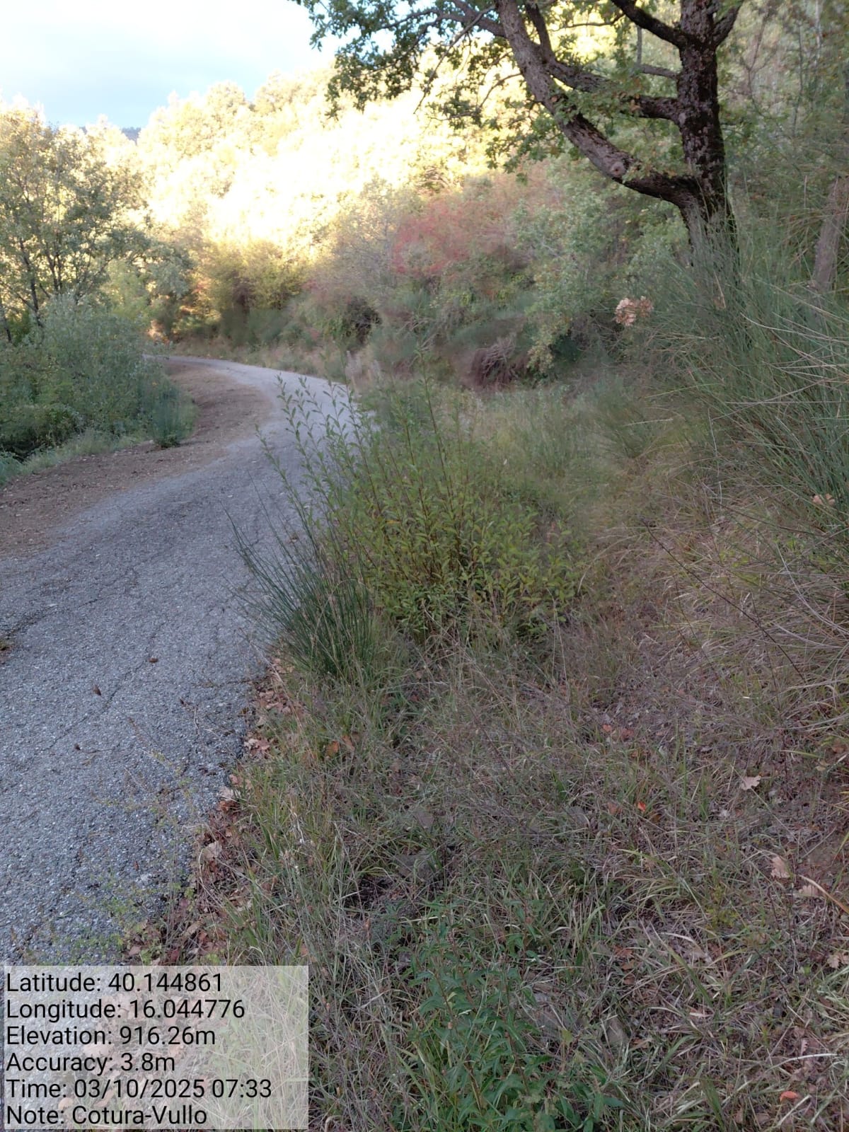 Galleria Fotografica Immagine