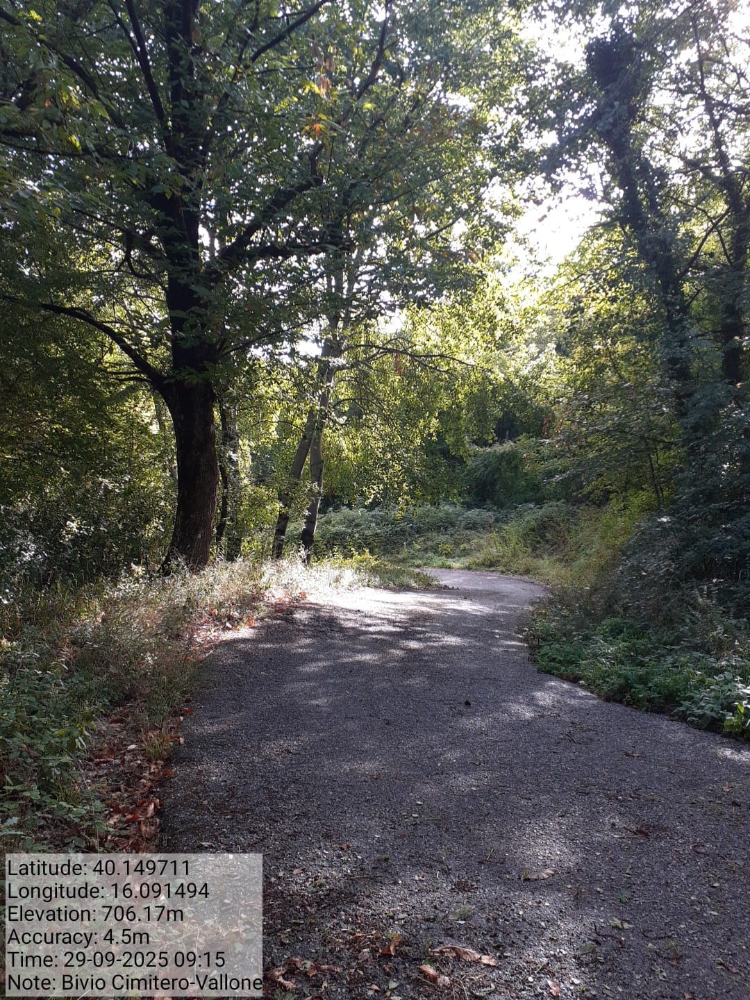 Galleria Fotografica Immagine