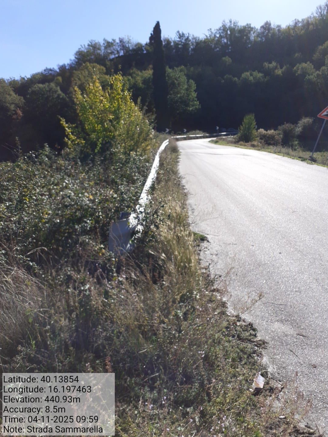 Galleria Fotografica Immagine