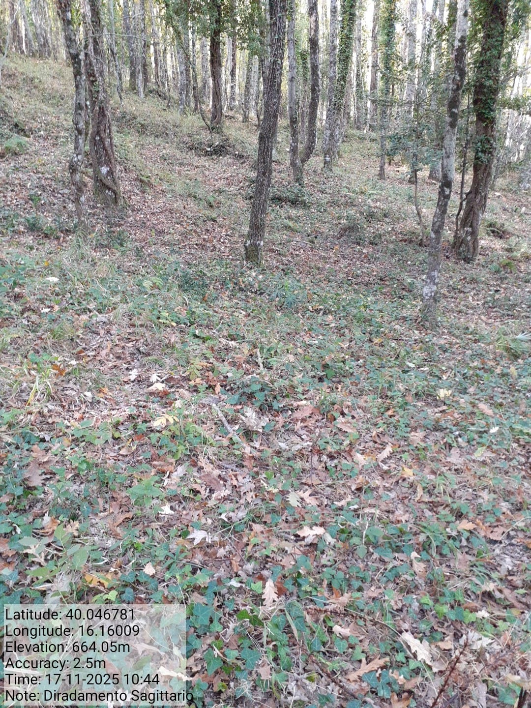 Galleria Fotografica Immagine