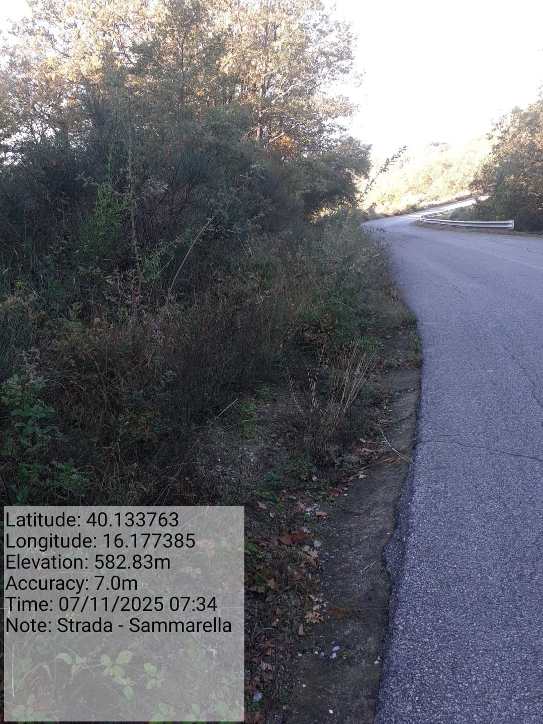 Galleria Fotografica Immagine