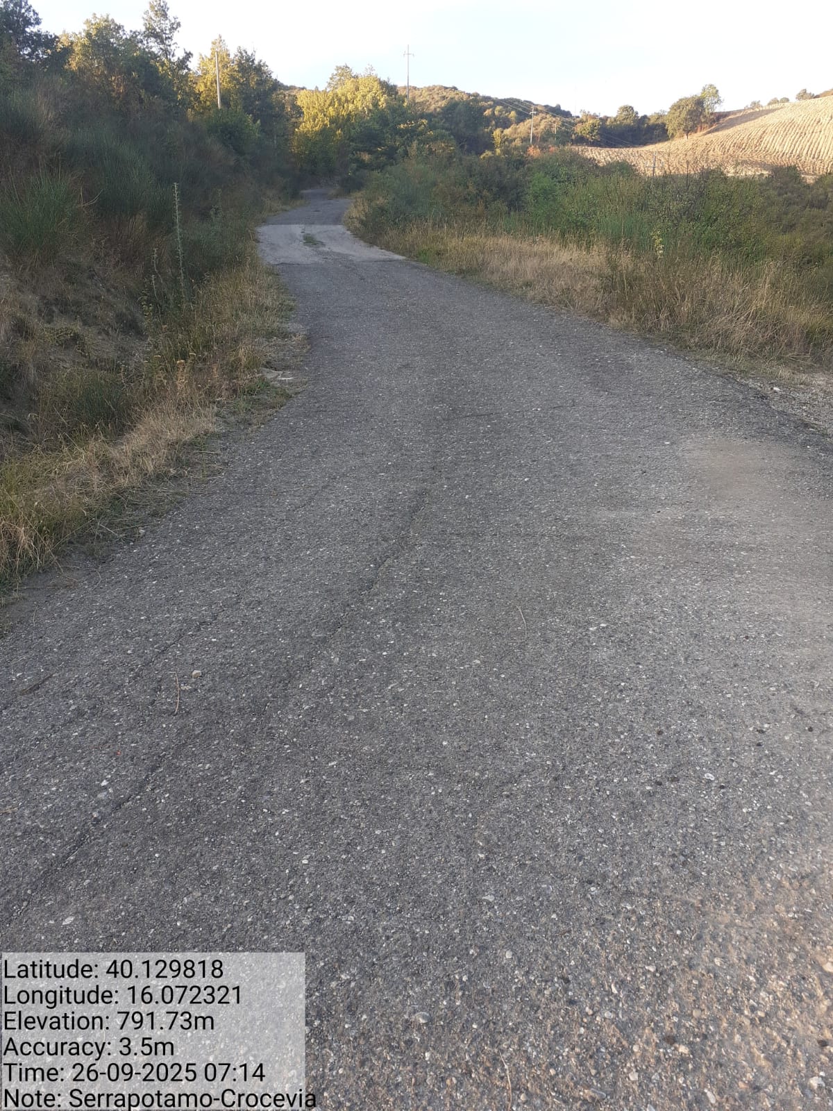 Galleria Fotografica Immagine