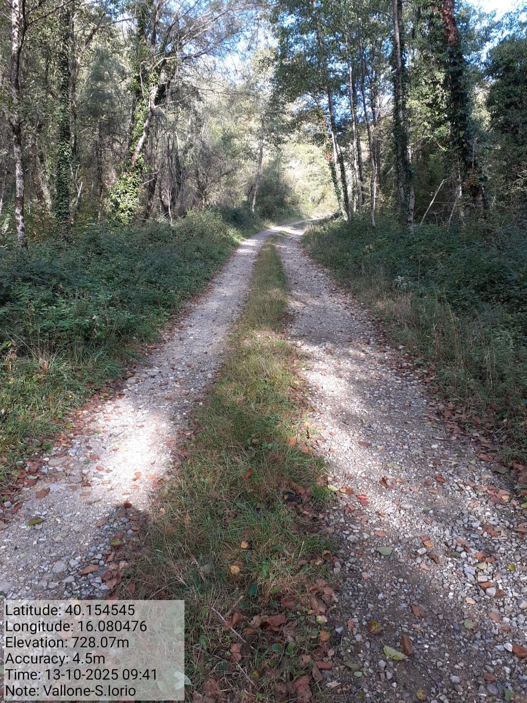 Galleria Fotografica Immagine