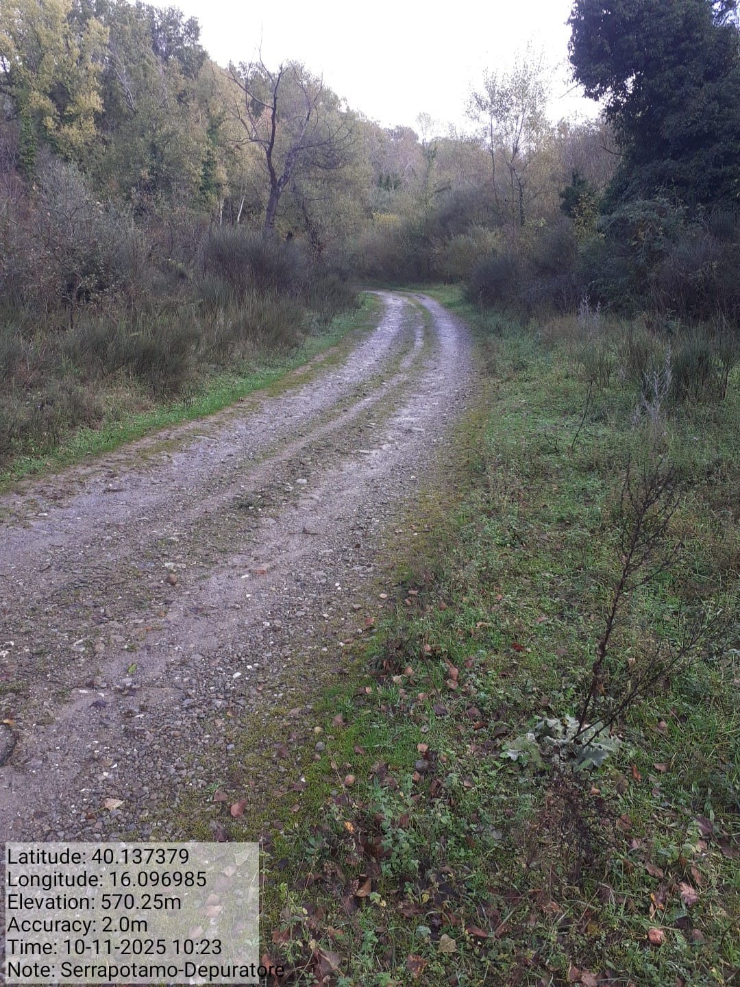 Galleria Fotografica Immagine