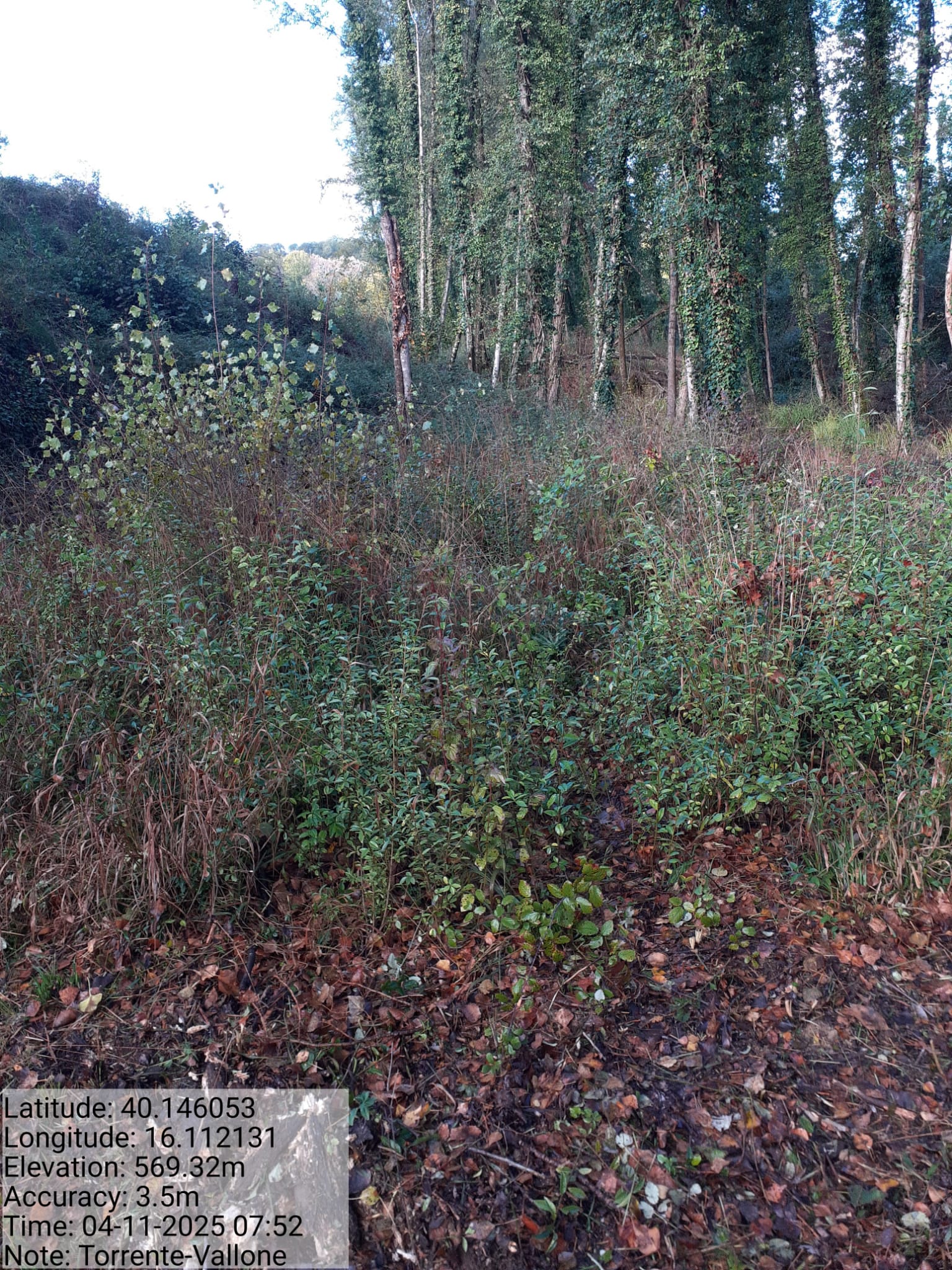 Galleria Fotografica Immagine