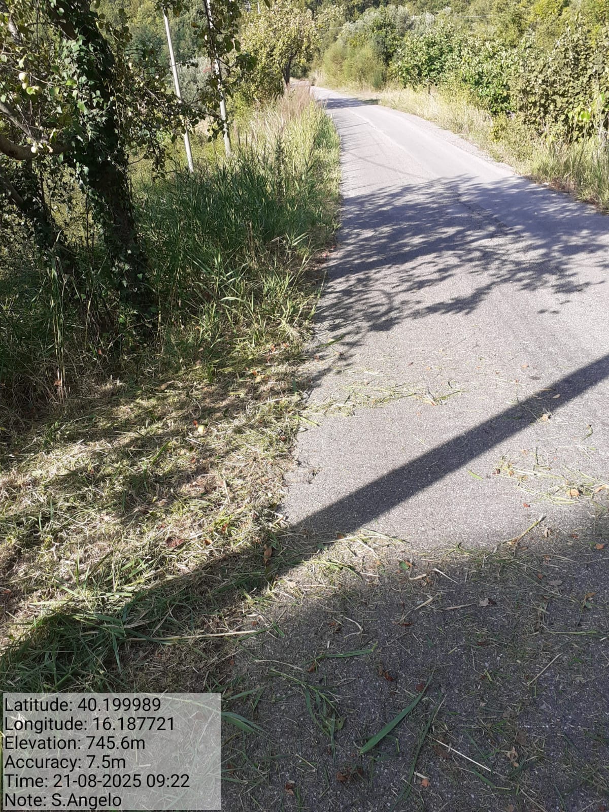 Galleria Fotografica Immagine