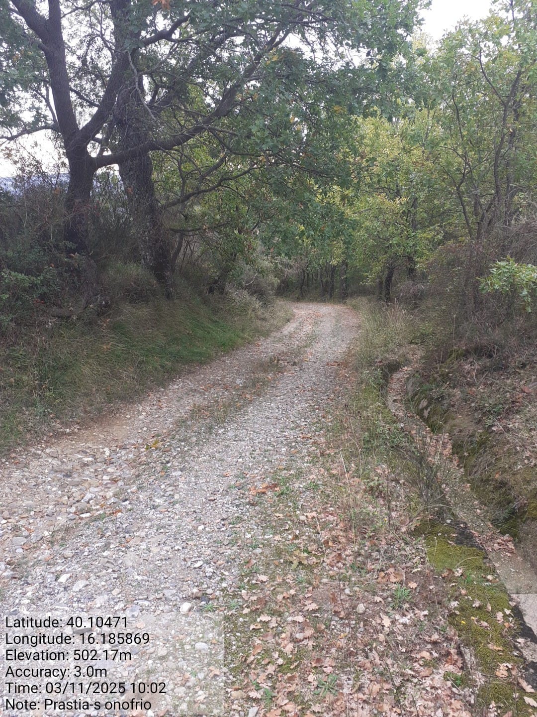 Galleria Fotografica Immagine