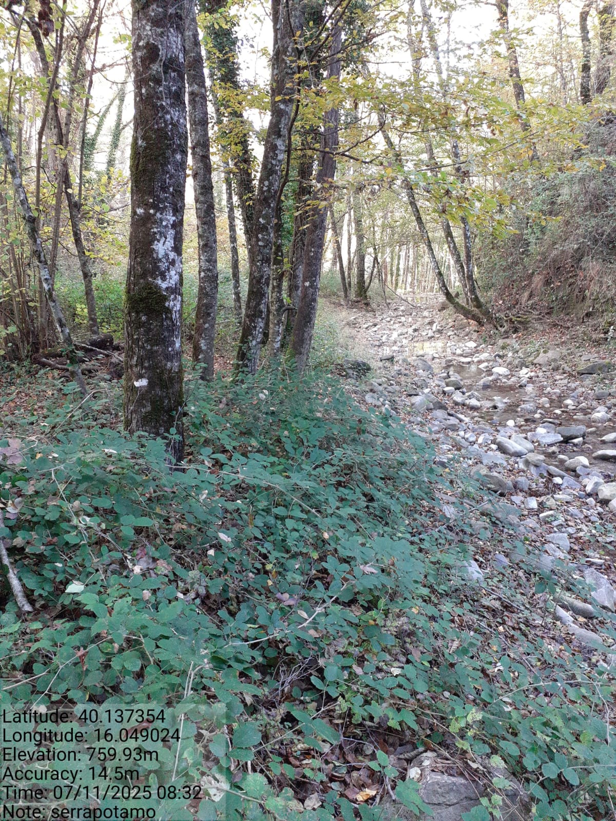 Galleria Fotografica Immagine