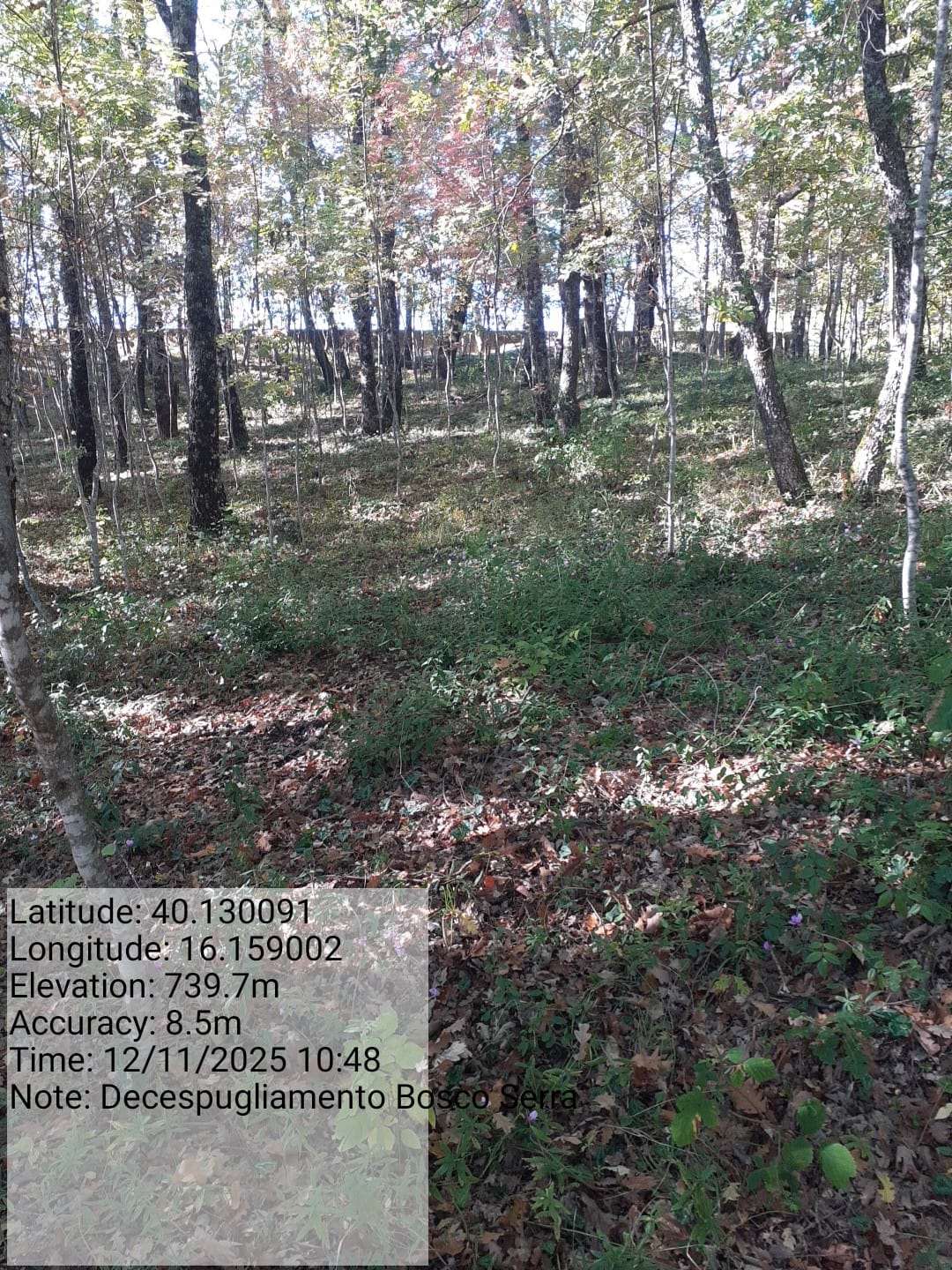 Galleria Fotografica Immagine