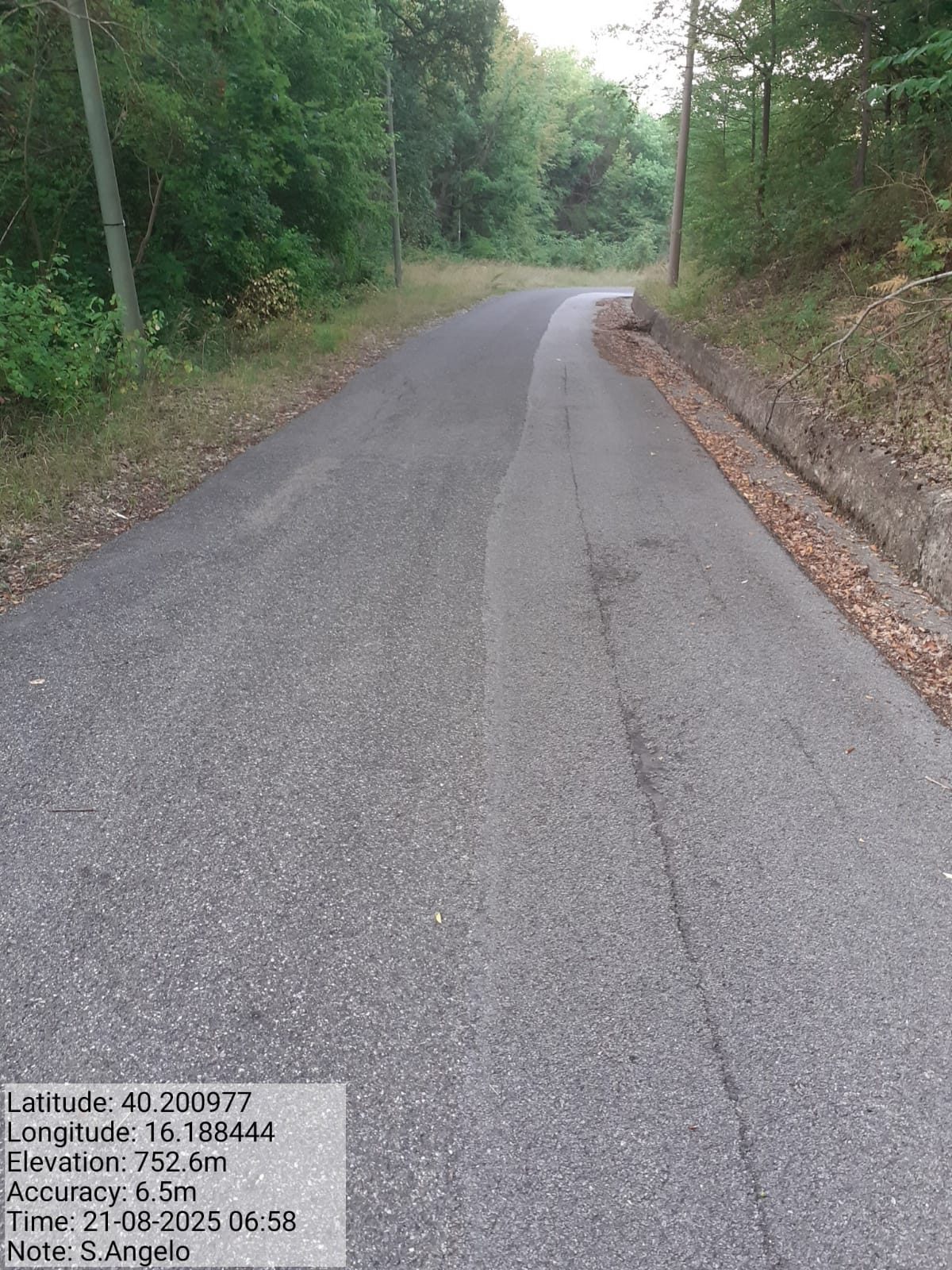 Galleria Fotografica Immagine