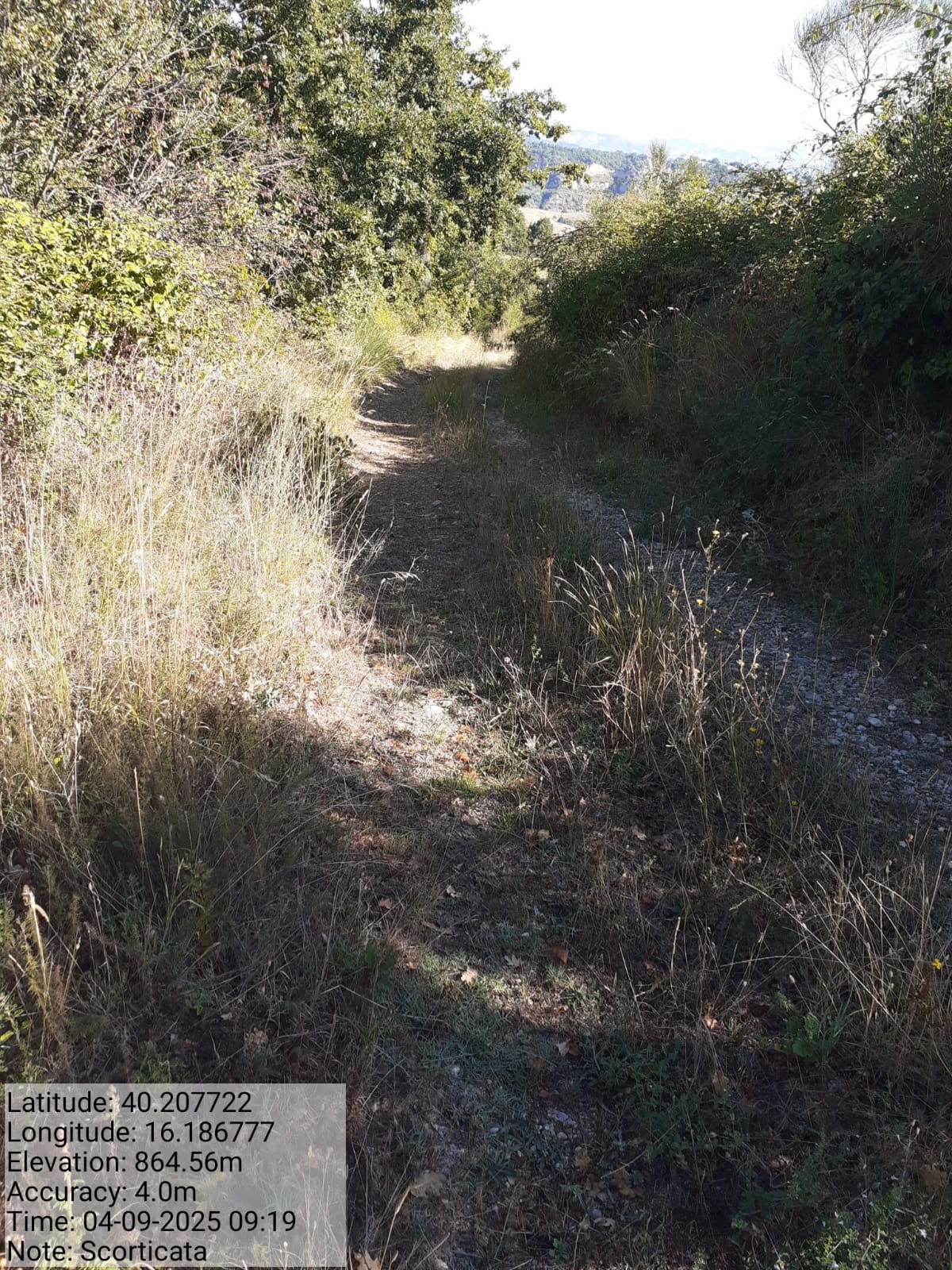 Galleria Fotografica Immagine