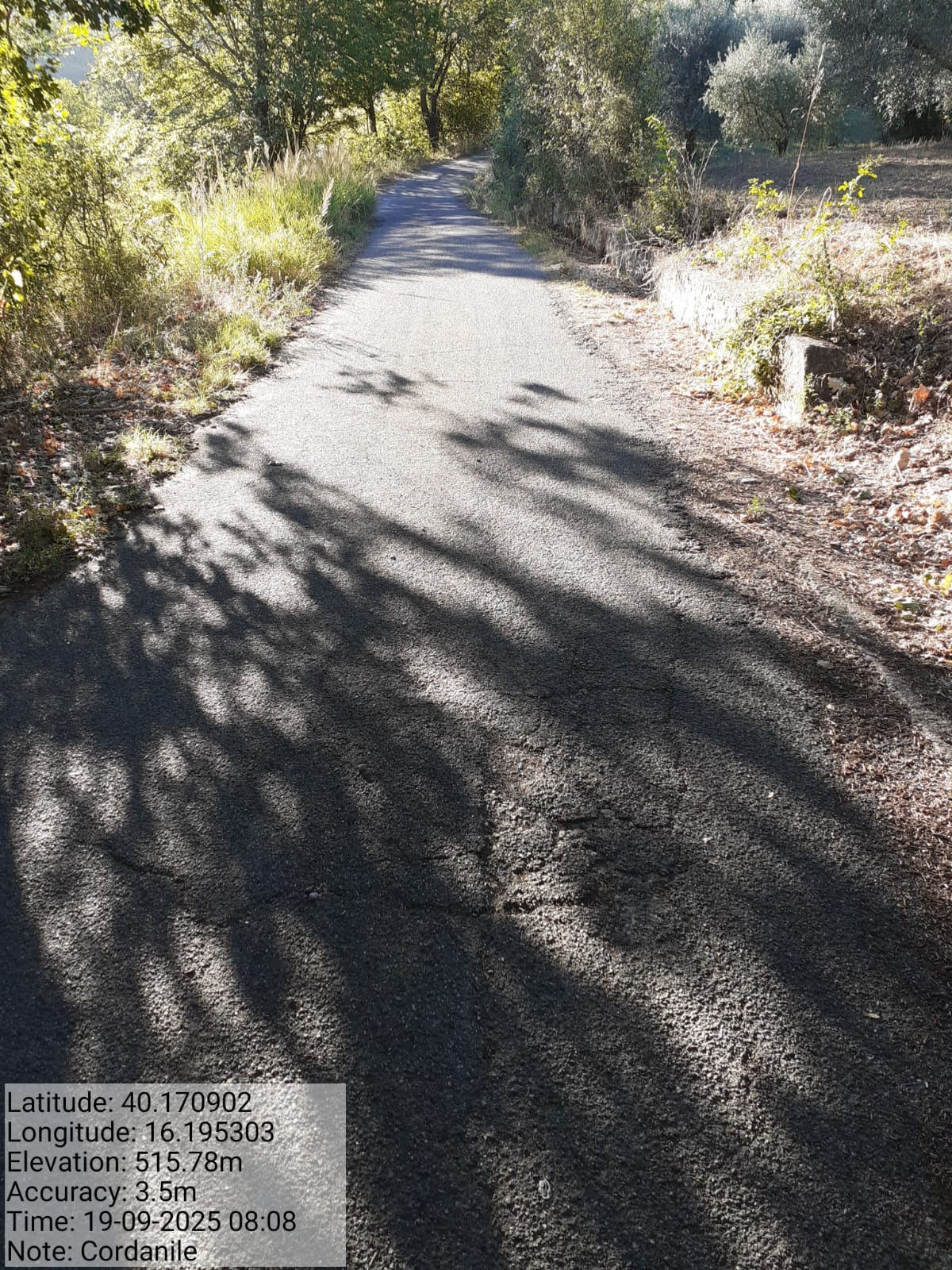 Galleria Fotografica Immagine