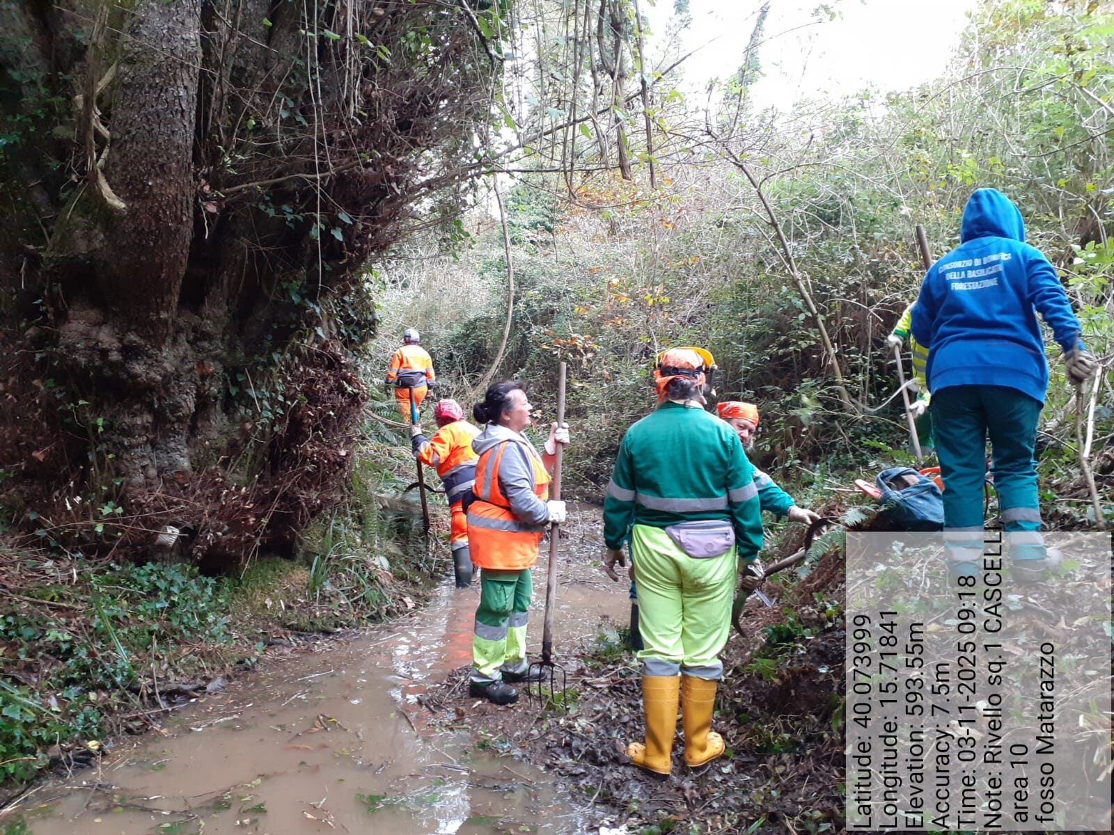 Galleria Fotografica Immagine