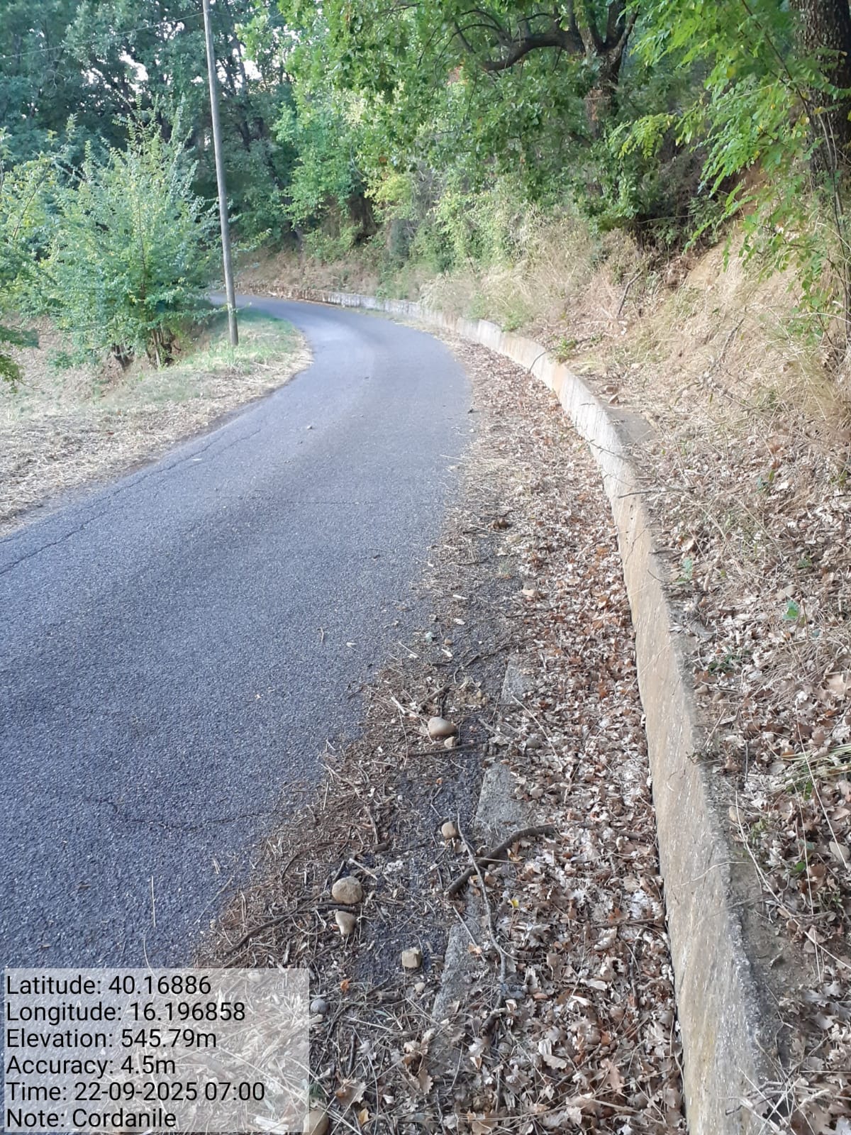 Galleria Fotografica Immagine