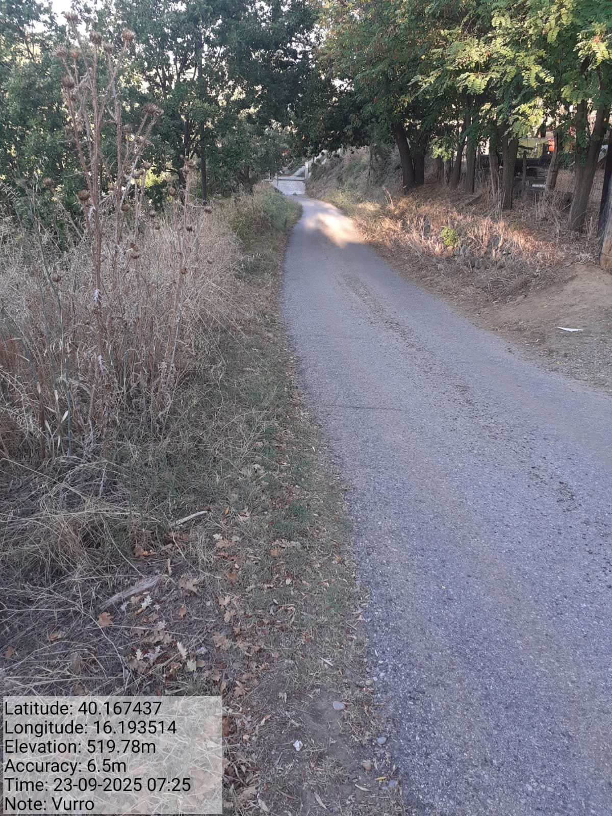 Galleria Fotografica Immagine