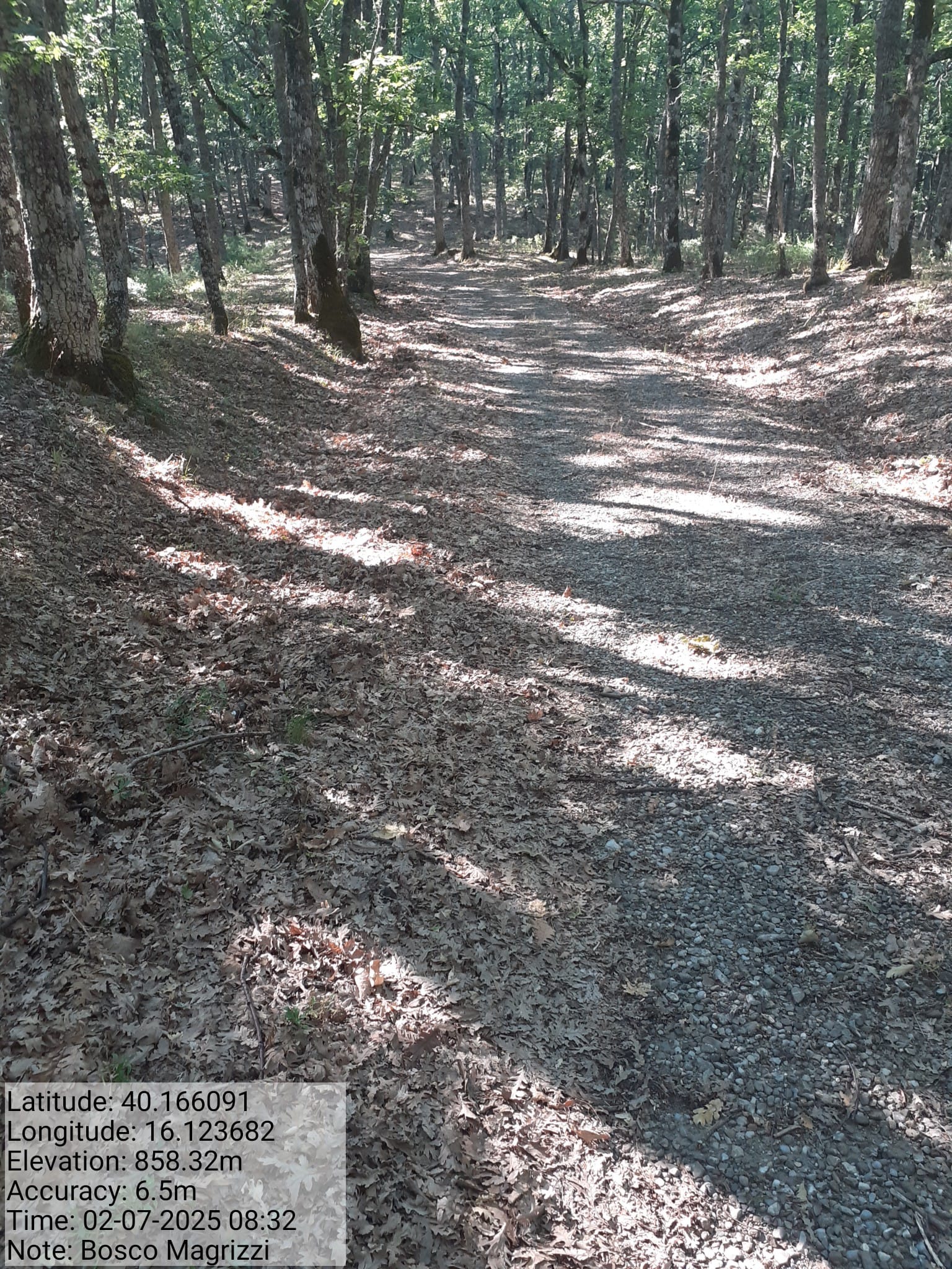 Galleria Fotografica Immagine