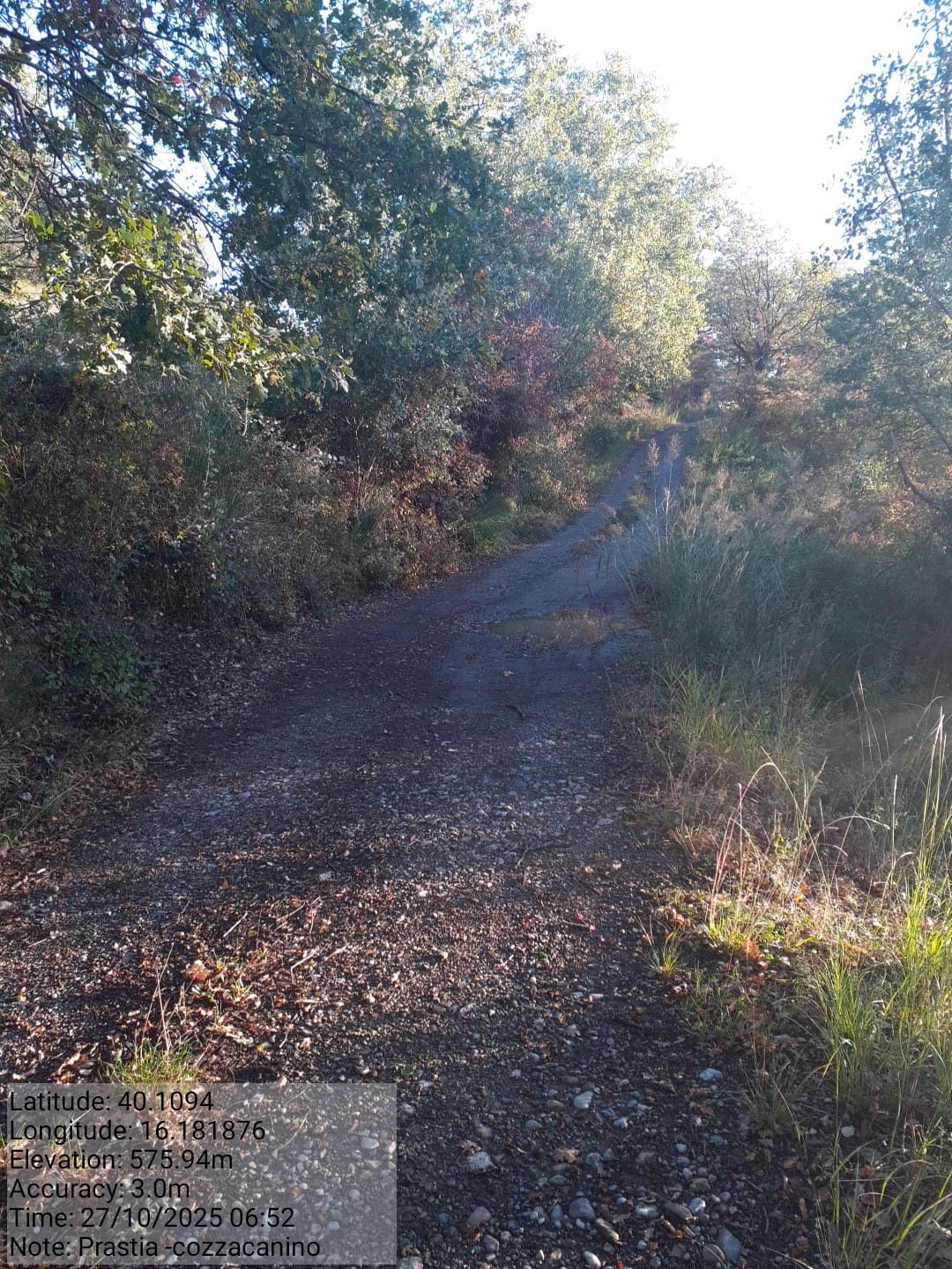 Galleria Fotografica Immagine