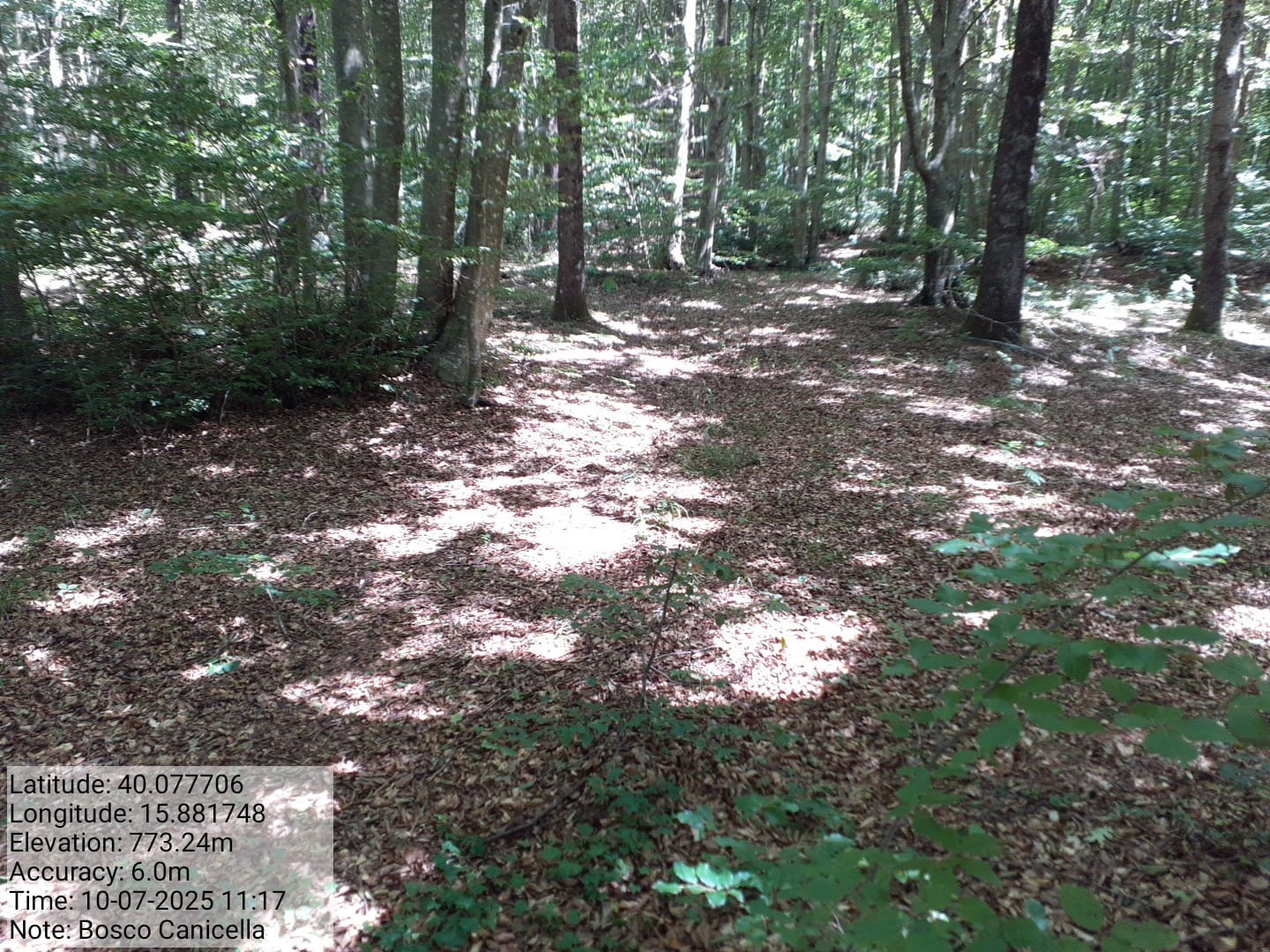 Galleria Fotografica Immagine