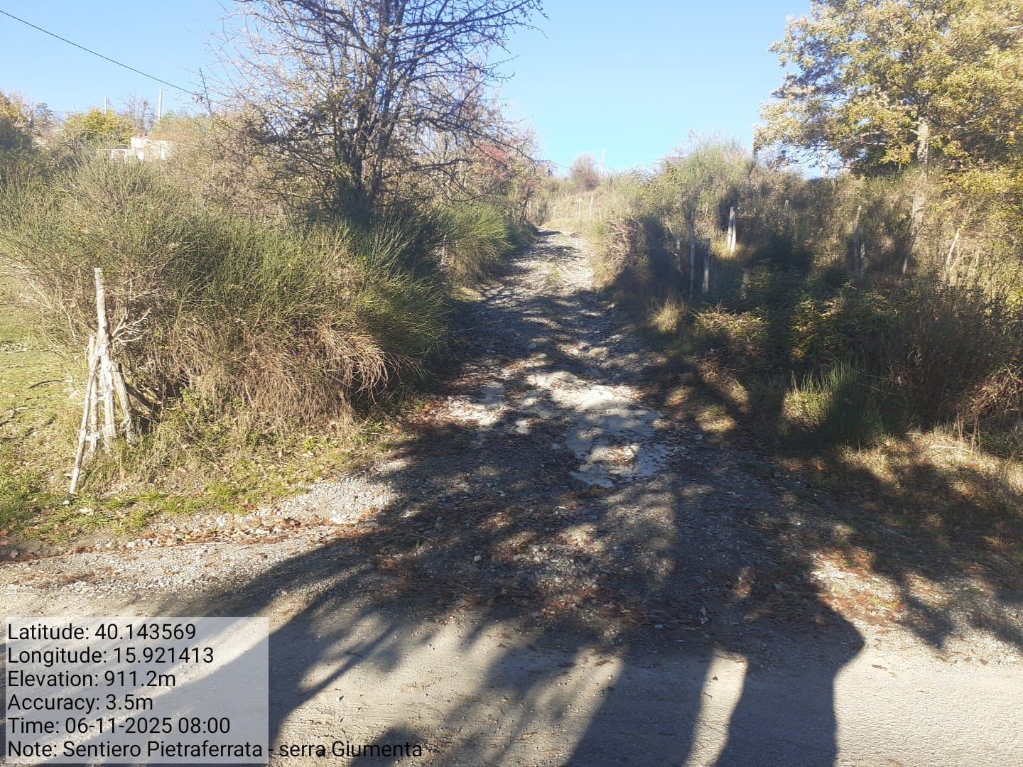 Galleria Fotografica Immagine