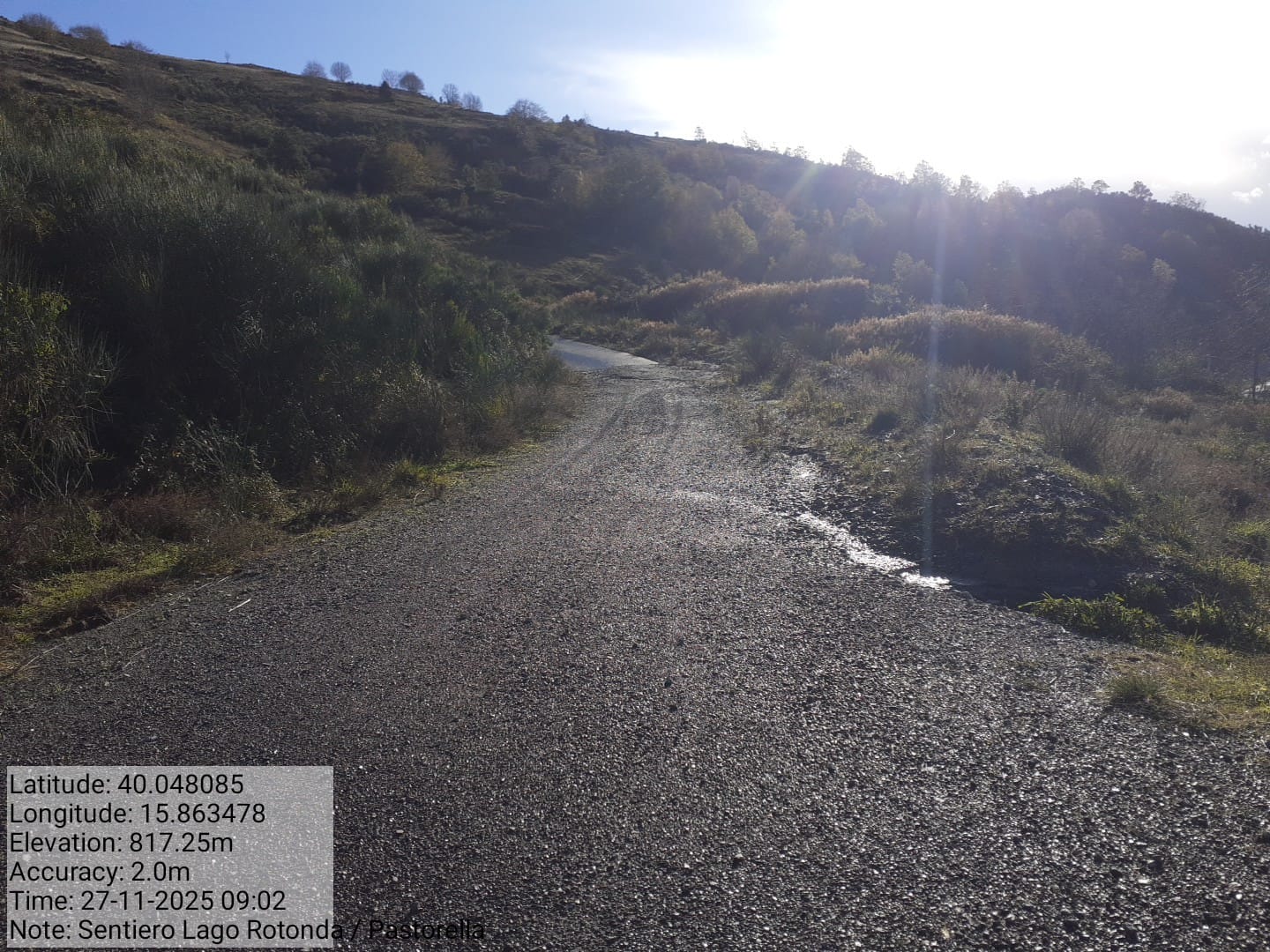 Galleria Fotografica Immagine