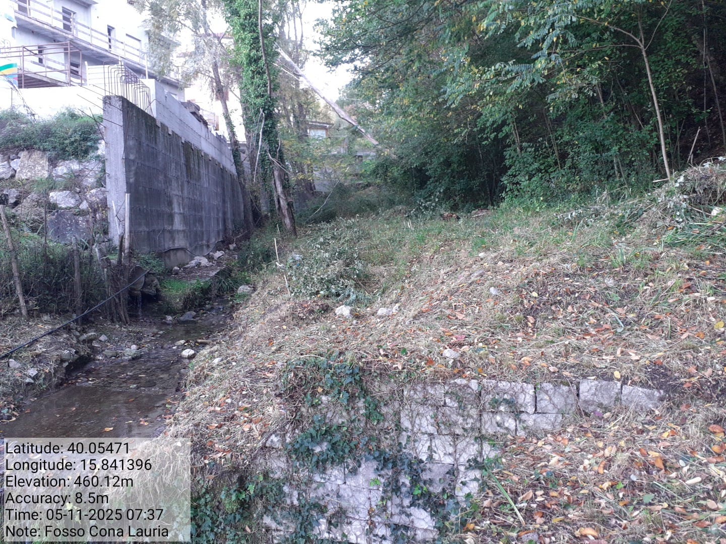 Galleria Fotografica Immagine