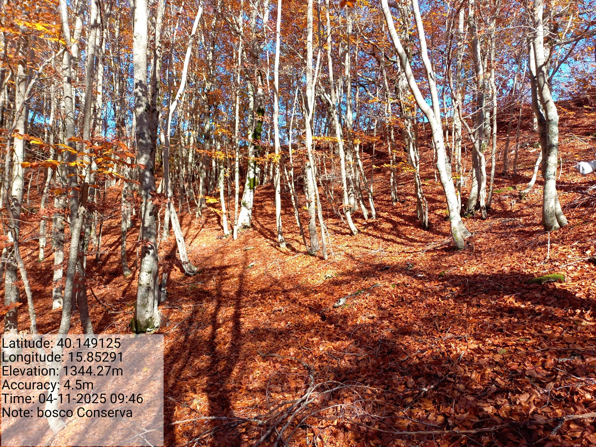 Galleria Fotografica Immagine