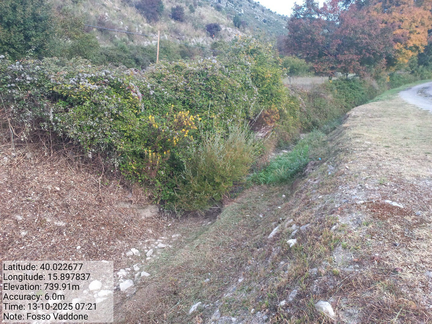 Galleria Fotografica Immagine