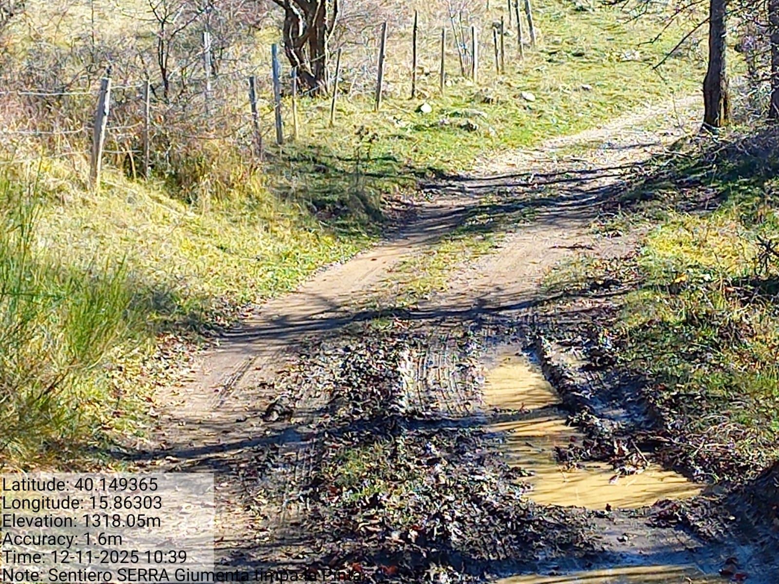 Galleria Fotografica Immagine