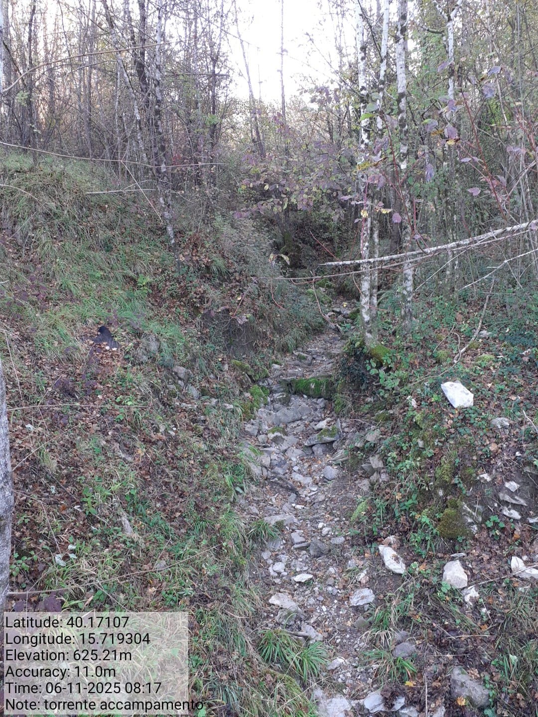 Galleria Fotografica Immagine