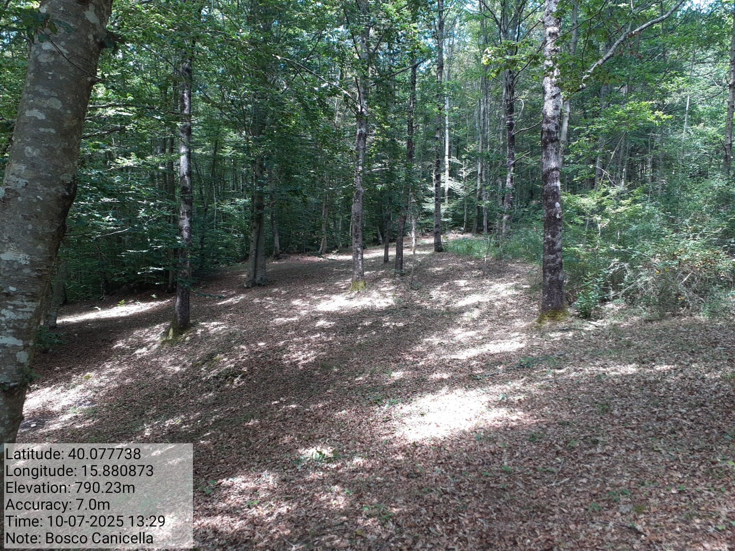 Galleria Fotografica Immagine