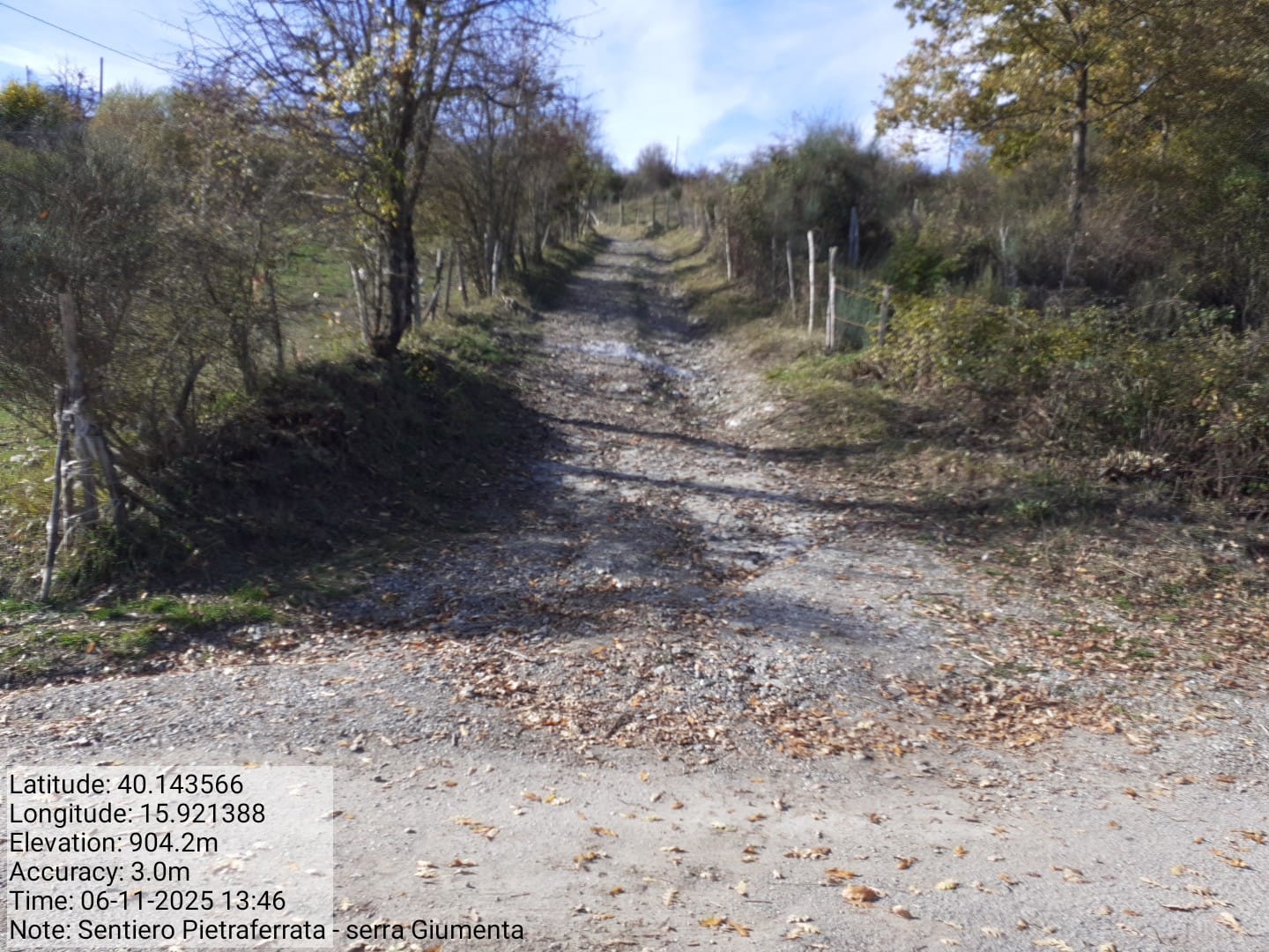 Galleria Fotografica Immagine