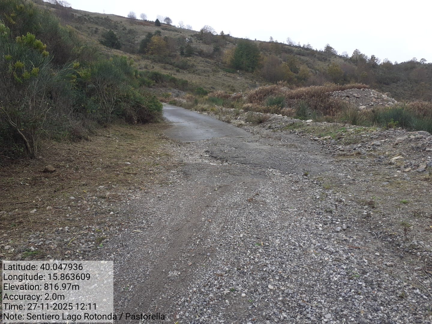 Galleria Fotografica Immagine