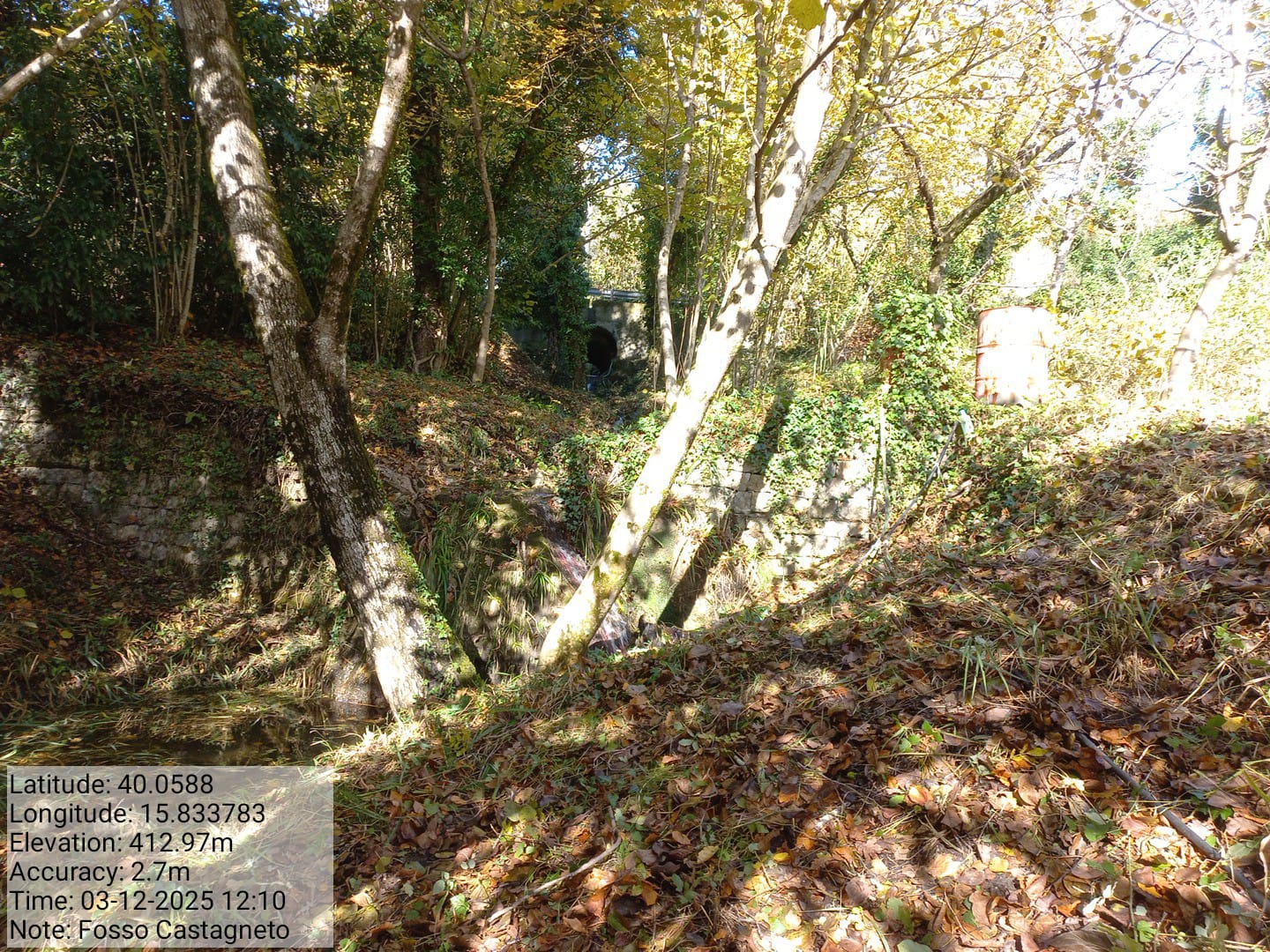 Galleria Fotografica Immagine