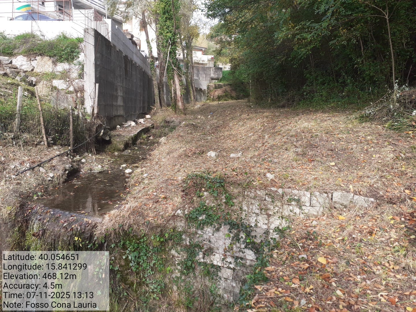 Galleria Fotografica Immagine