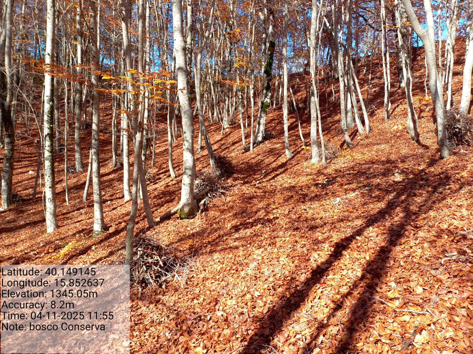 Galleria Fotografica Immagine