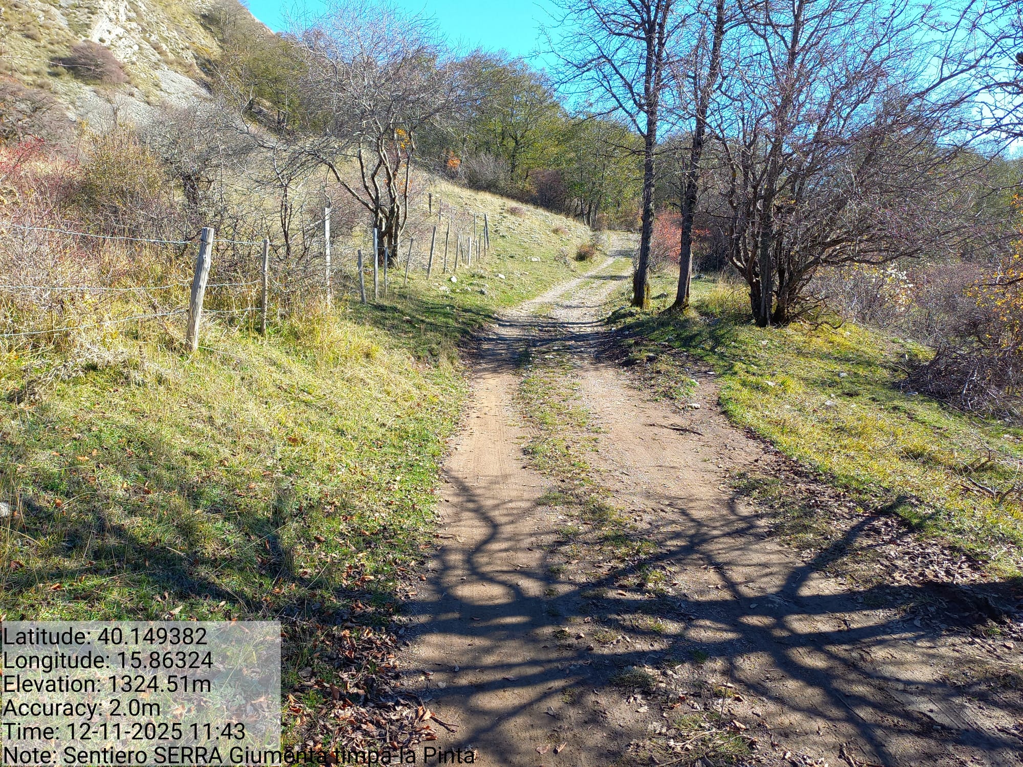 Galleria Fotografica Immagine