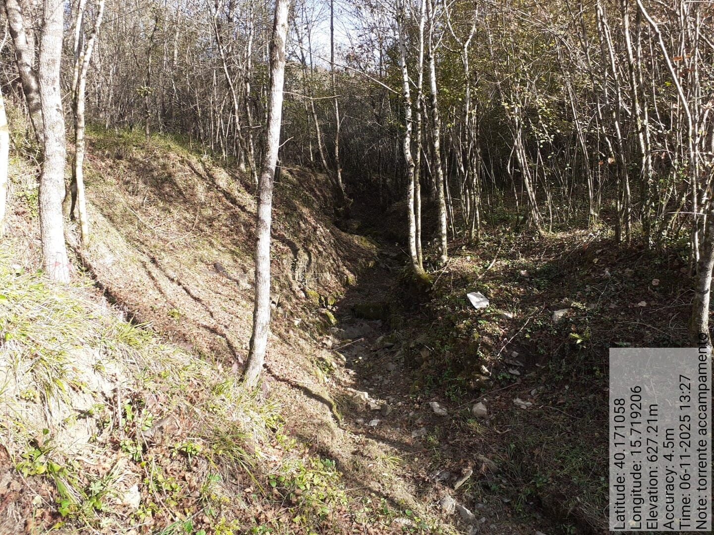 Galleria Fotografica Immagine