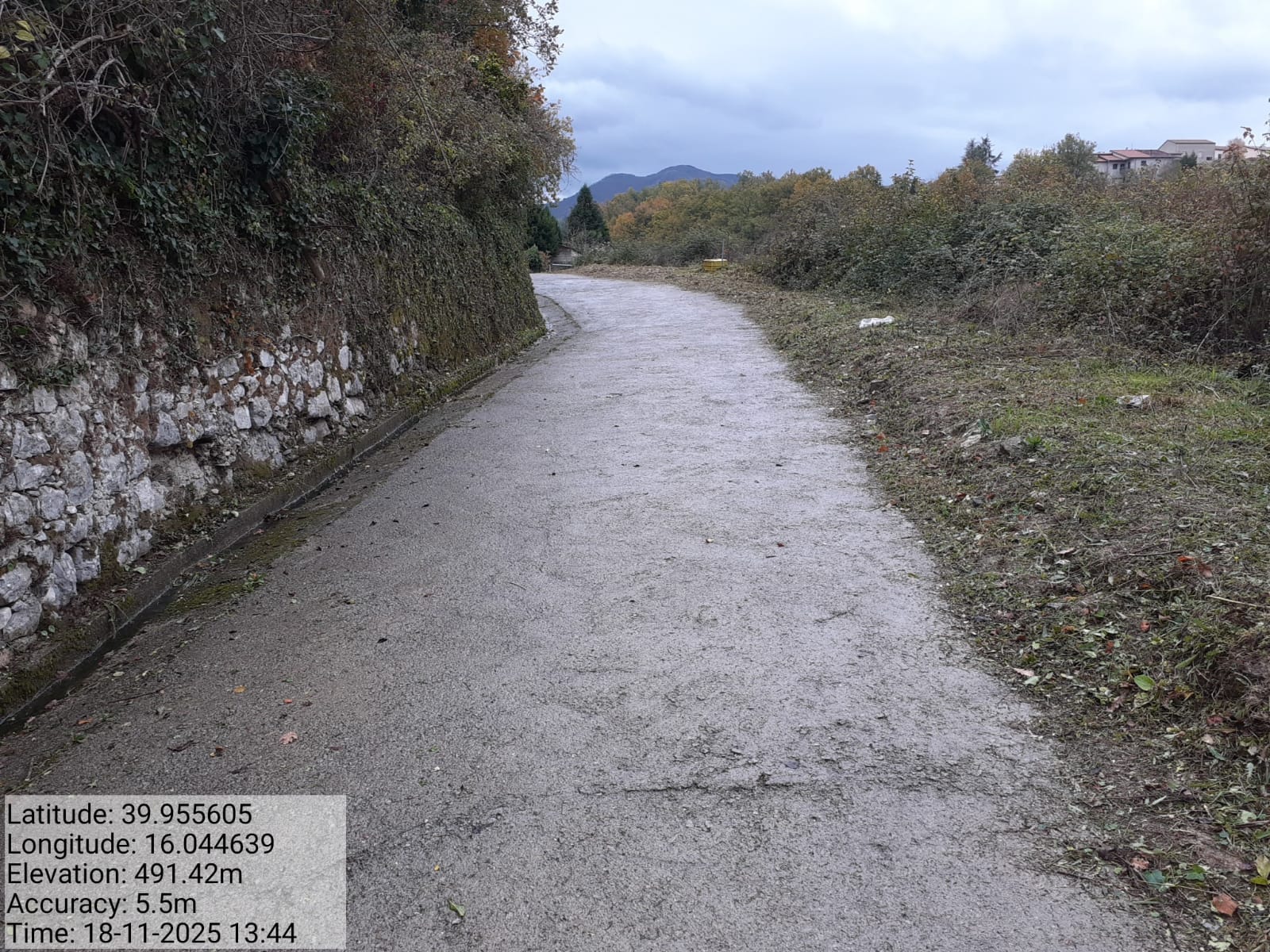 Galleria Fotografica Immagine