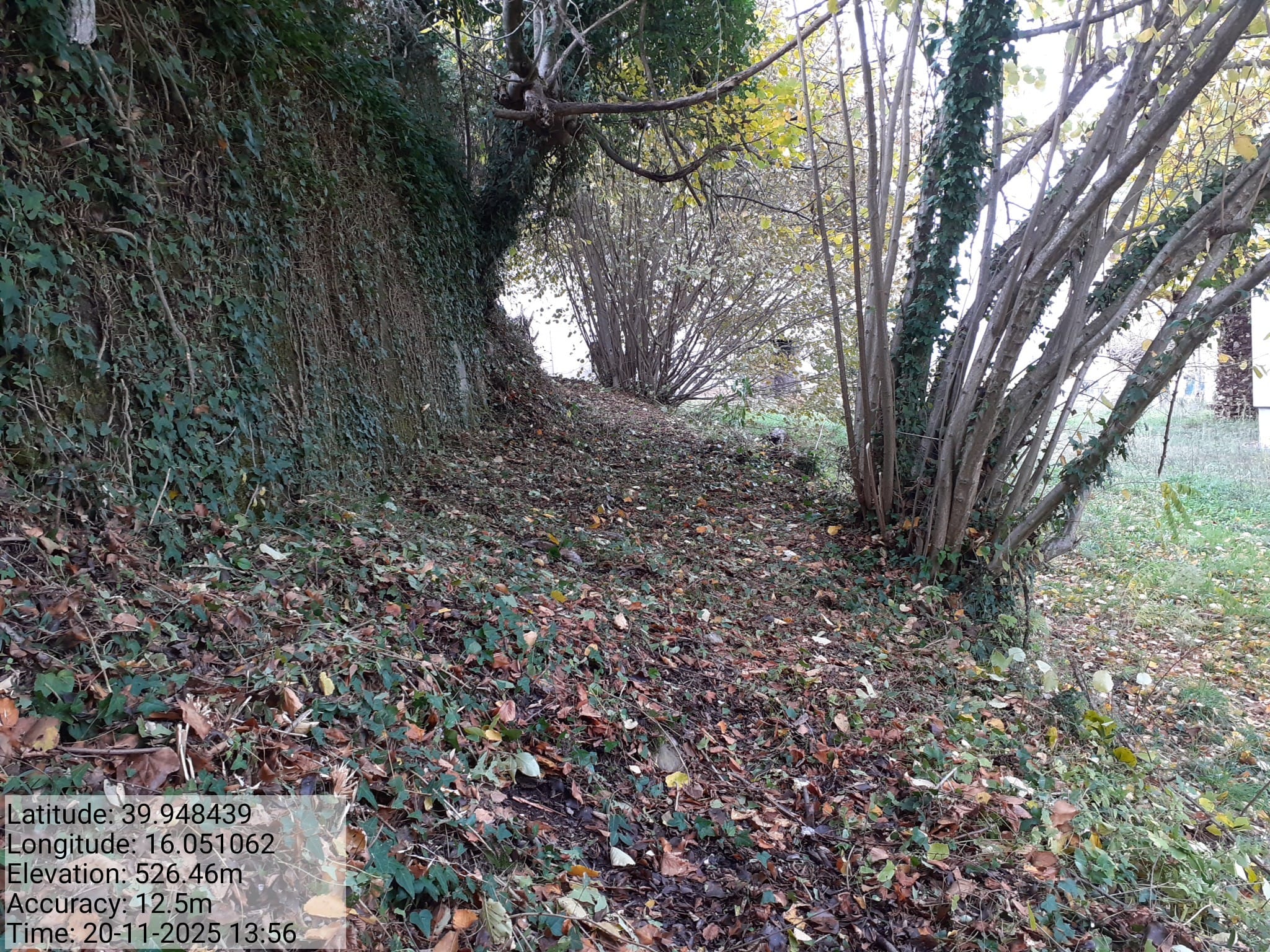 Galleria Fotografica Immagine