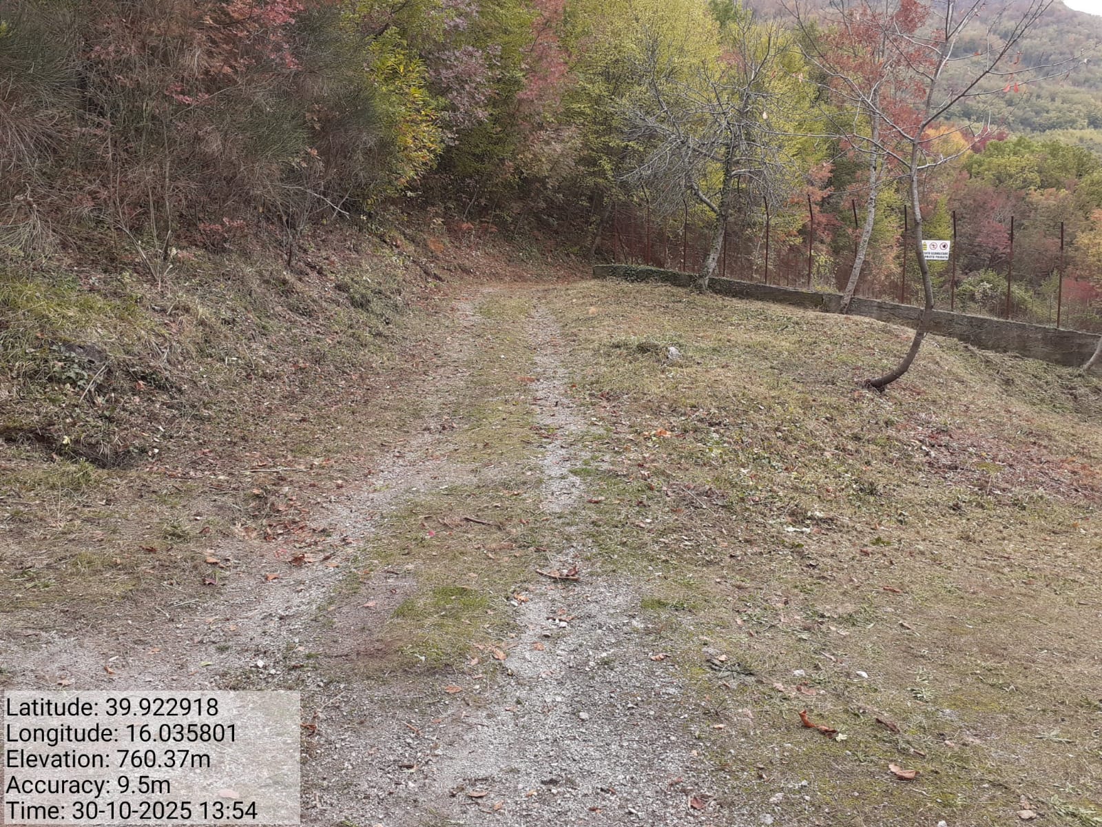 Galleria Fotografica Immagine