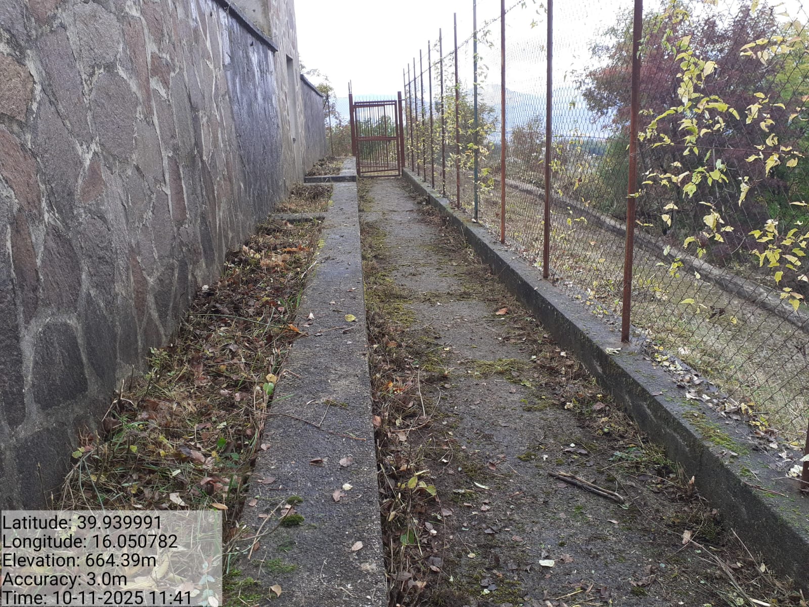 Galleria Fotografica Immagine