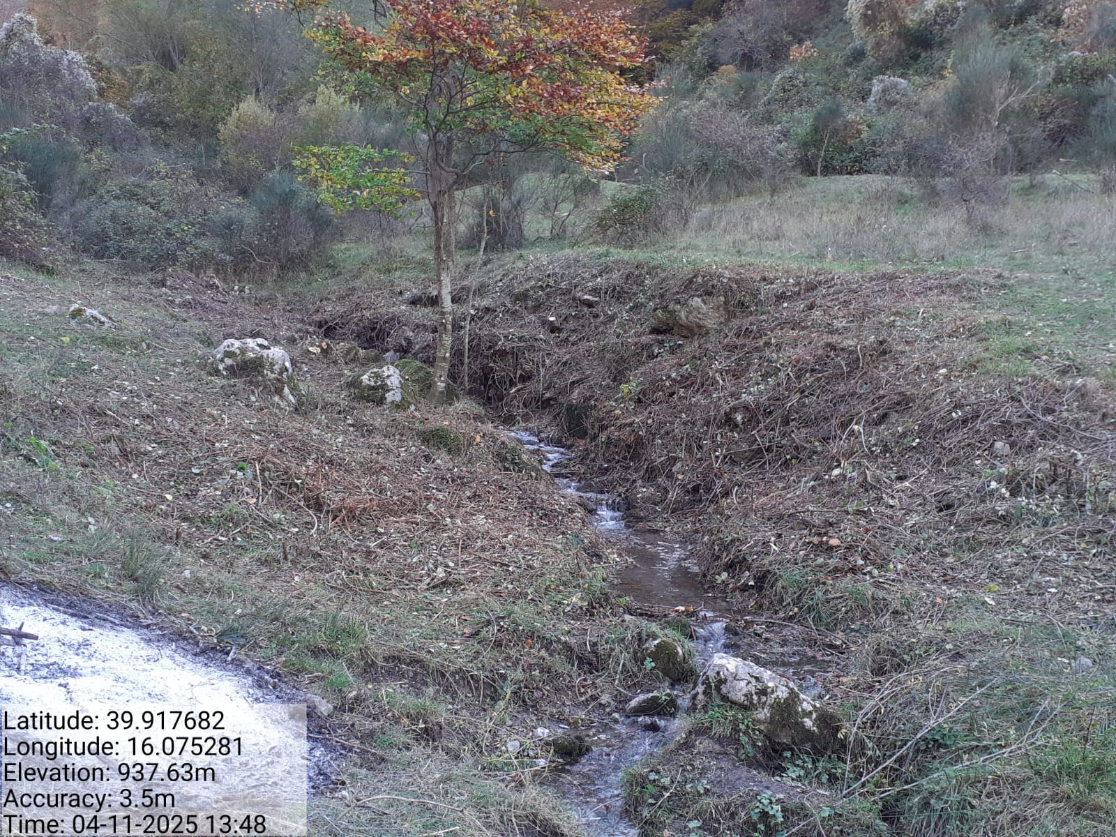 Galleria Fotografica Immagine