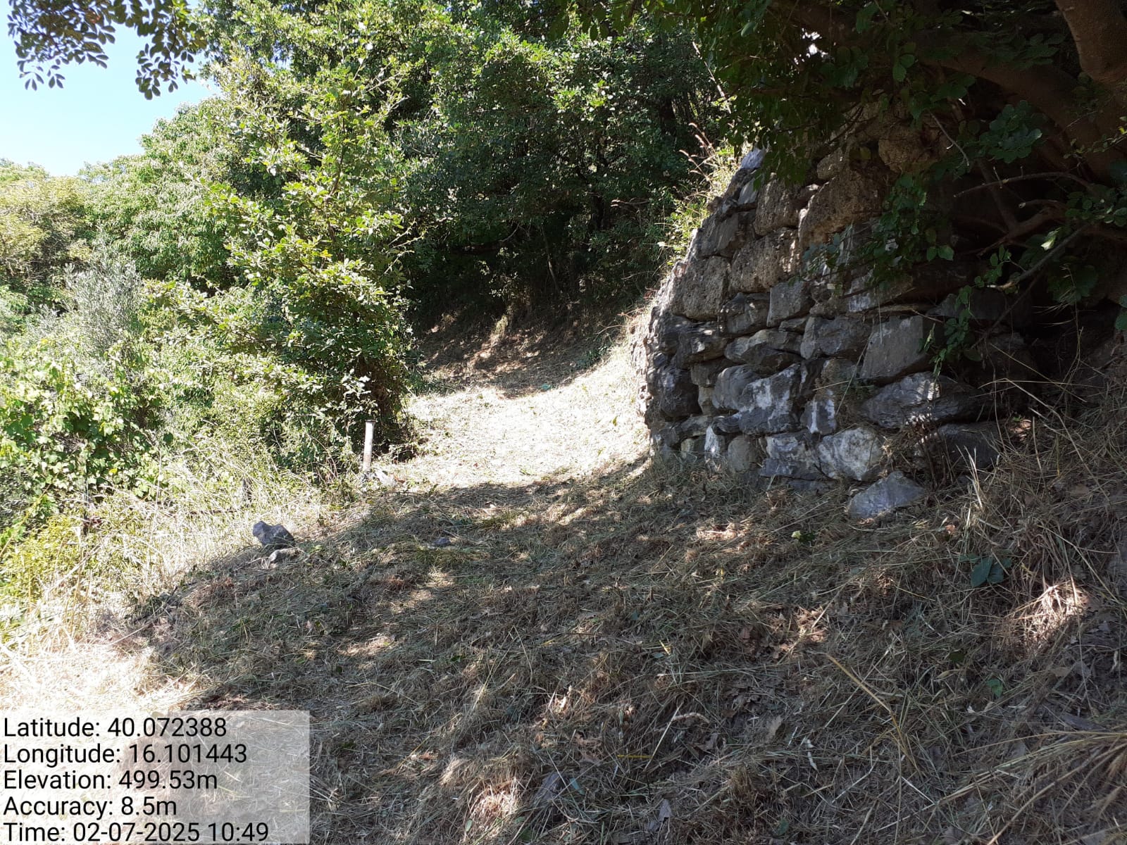 Galleria Fotografica Immagine