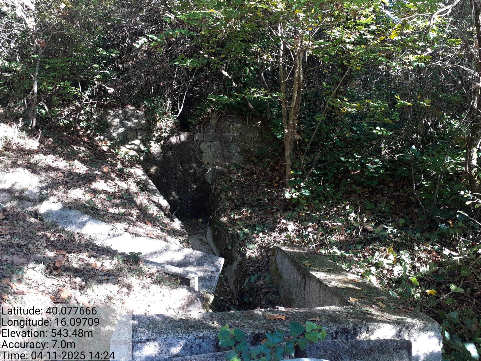 Galleria Fotografica Immagine